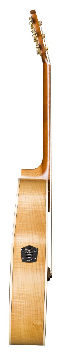 TLM/ACEC Flamed Maple