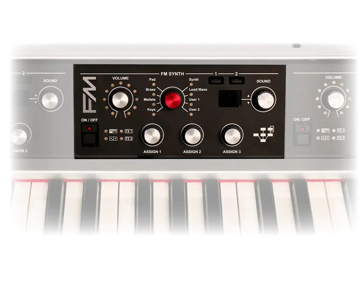 FM Module