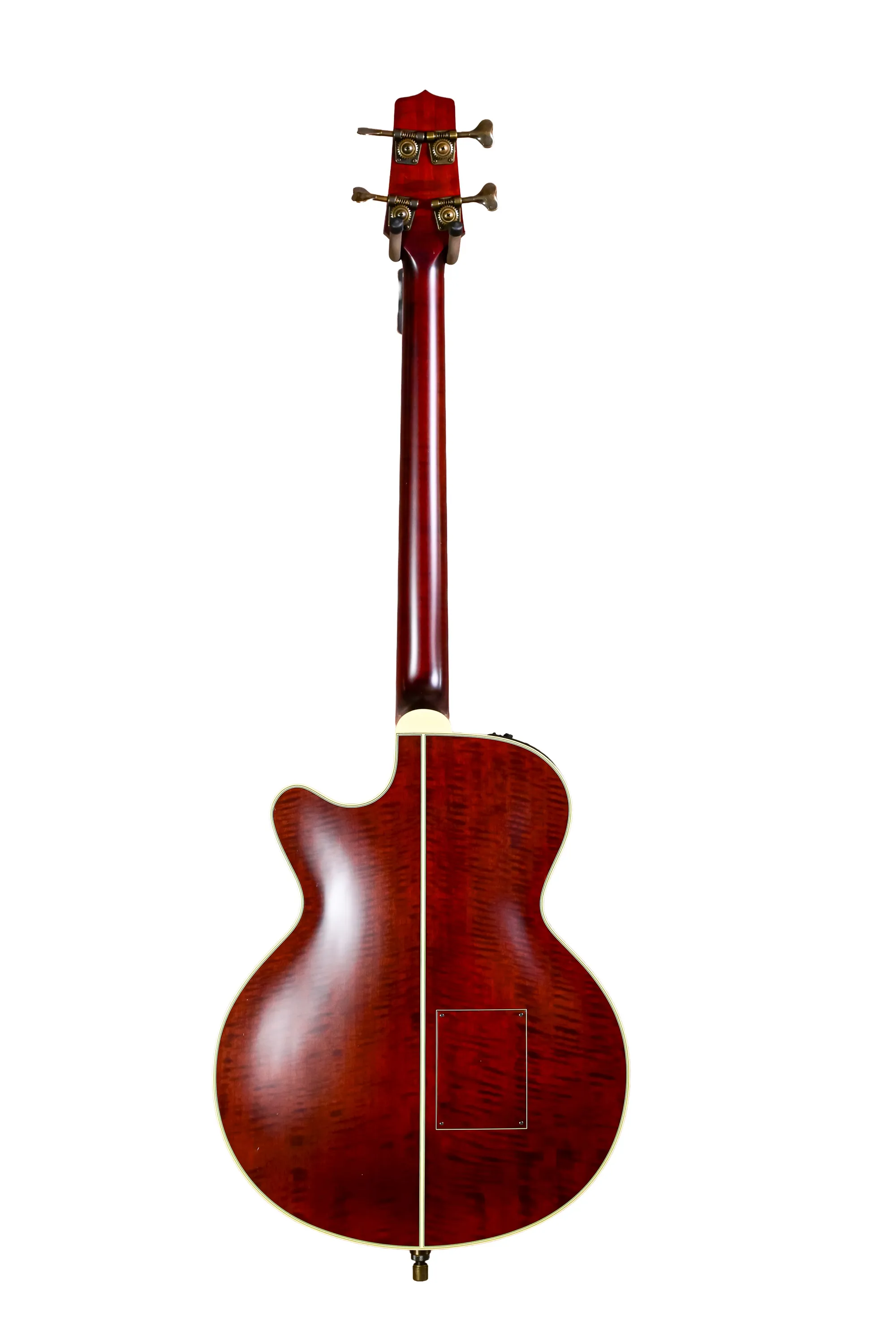TB10 Fretless Akustik Bass