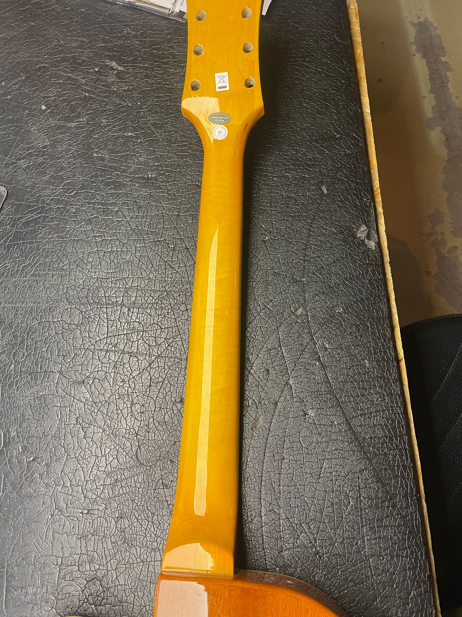 Wildkat Standard AN - Halbresonanz (Body mit Hals)