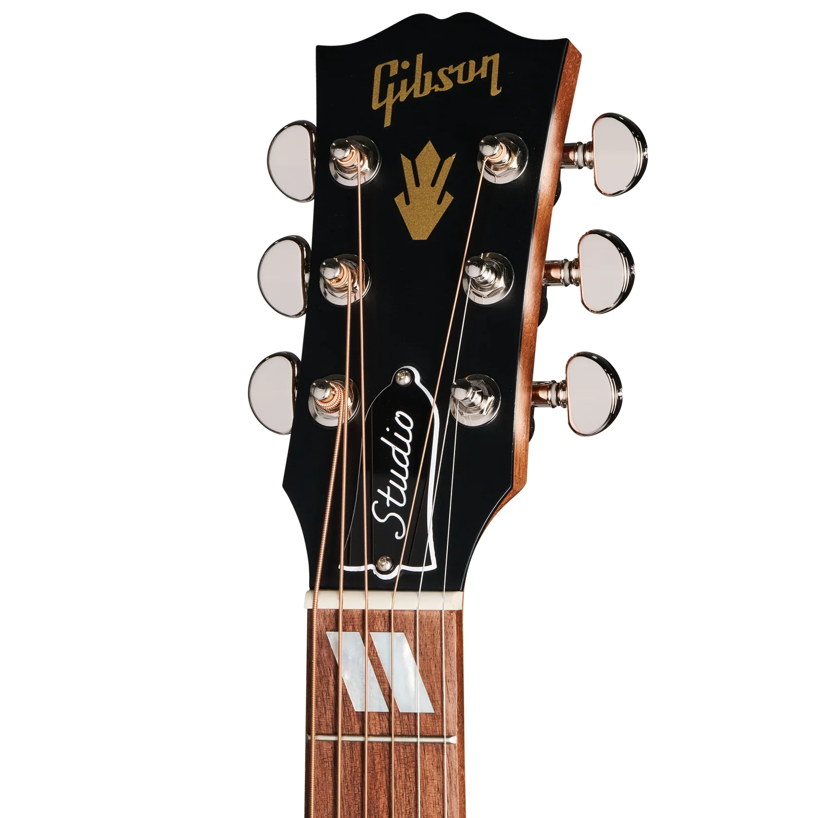 Hummingbird Studio Walnut  Burst