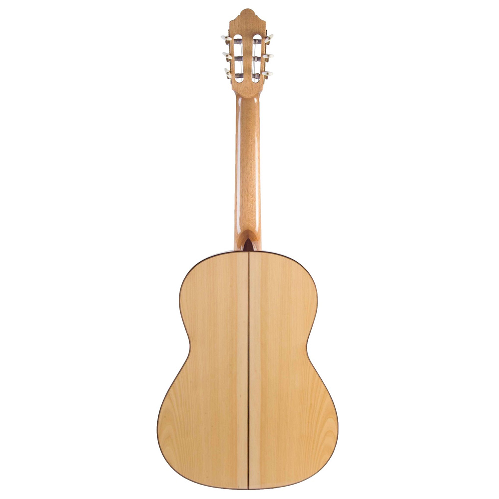 Rosa Lucia Flamencogitarre
