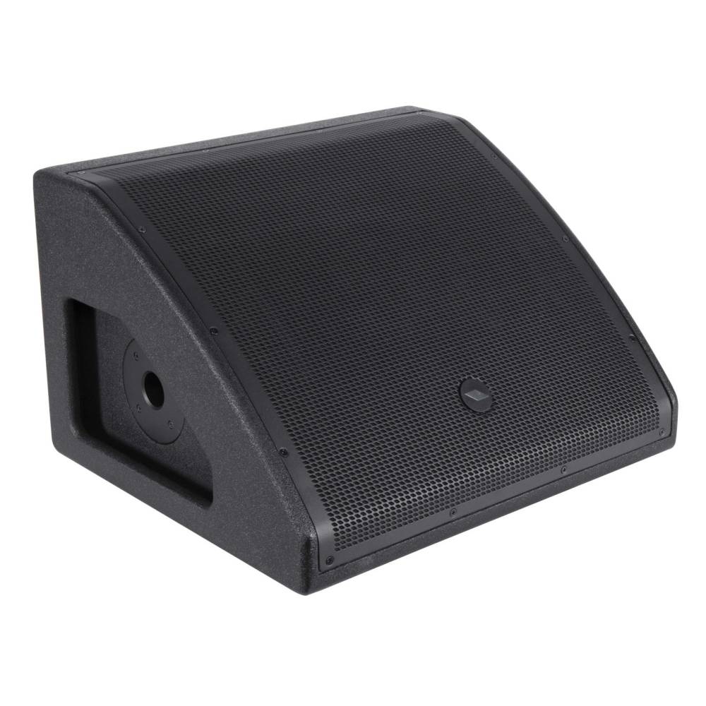WD12AV2 - Aktiver 2-Wege Stagemonitor