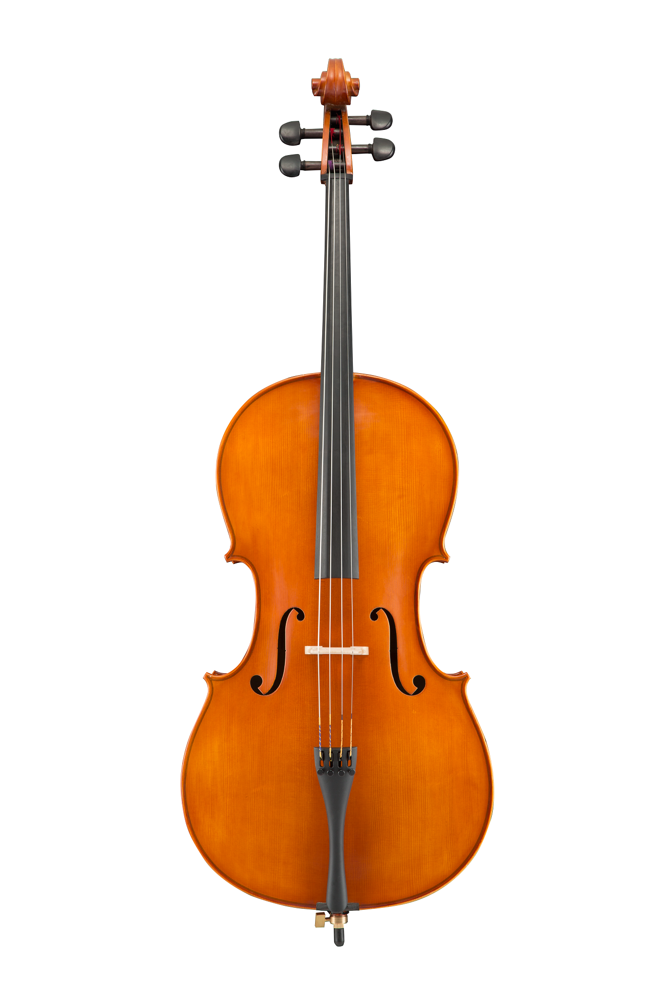 Andreas 4/4 Cello Set VC250