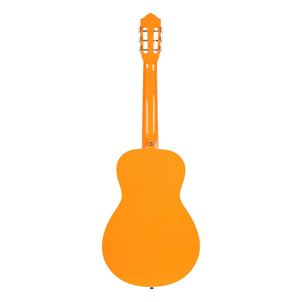 RGA-ORG Akustikgitarre Sky Blue + Bag
