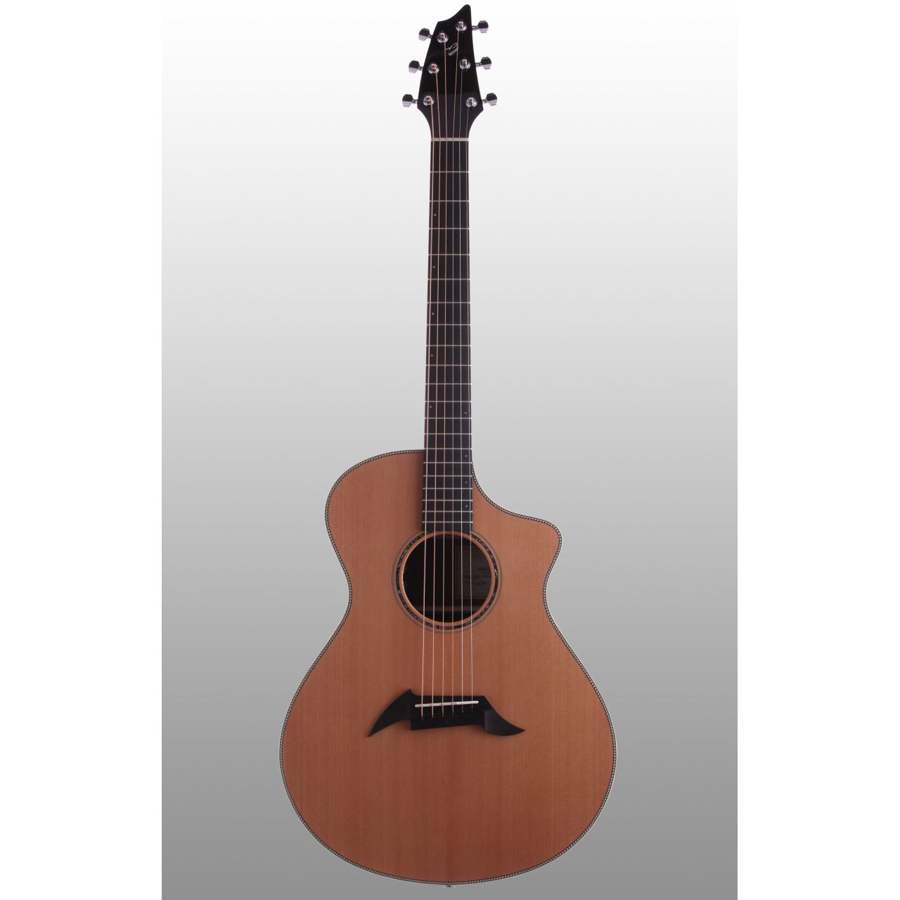 PR C25/CR Pro Concert vollmassiv inkl. Koffer