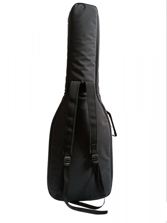 EBS 1.0 Bass Gigbag