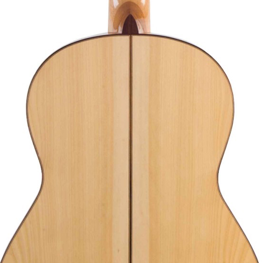 Rosa Lucia Flamencogitarre