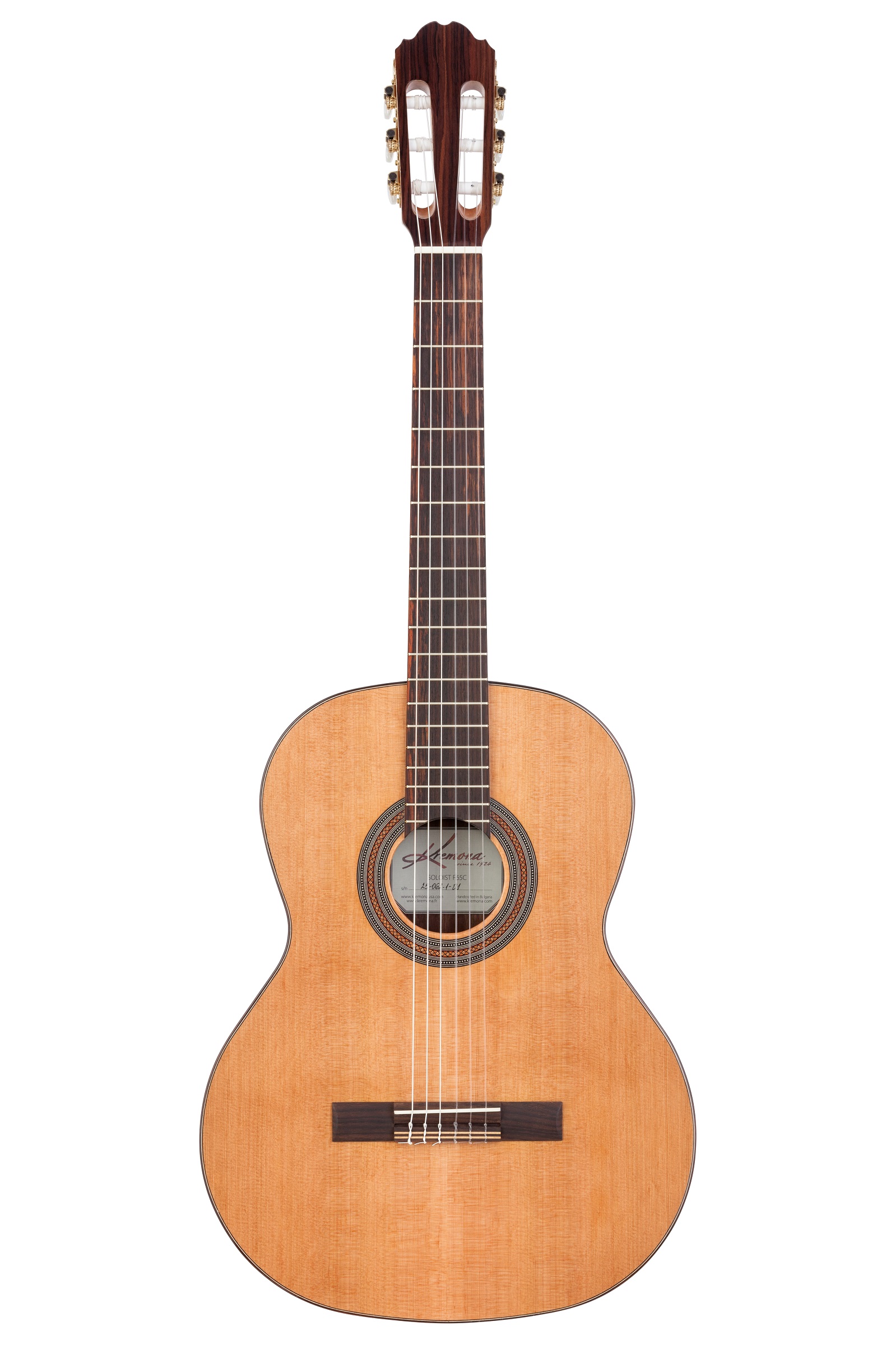 F65C Soloist  Konzertgitarre
