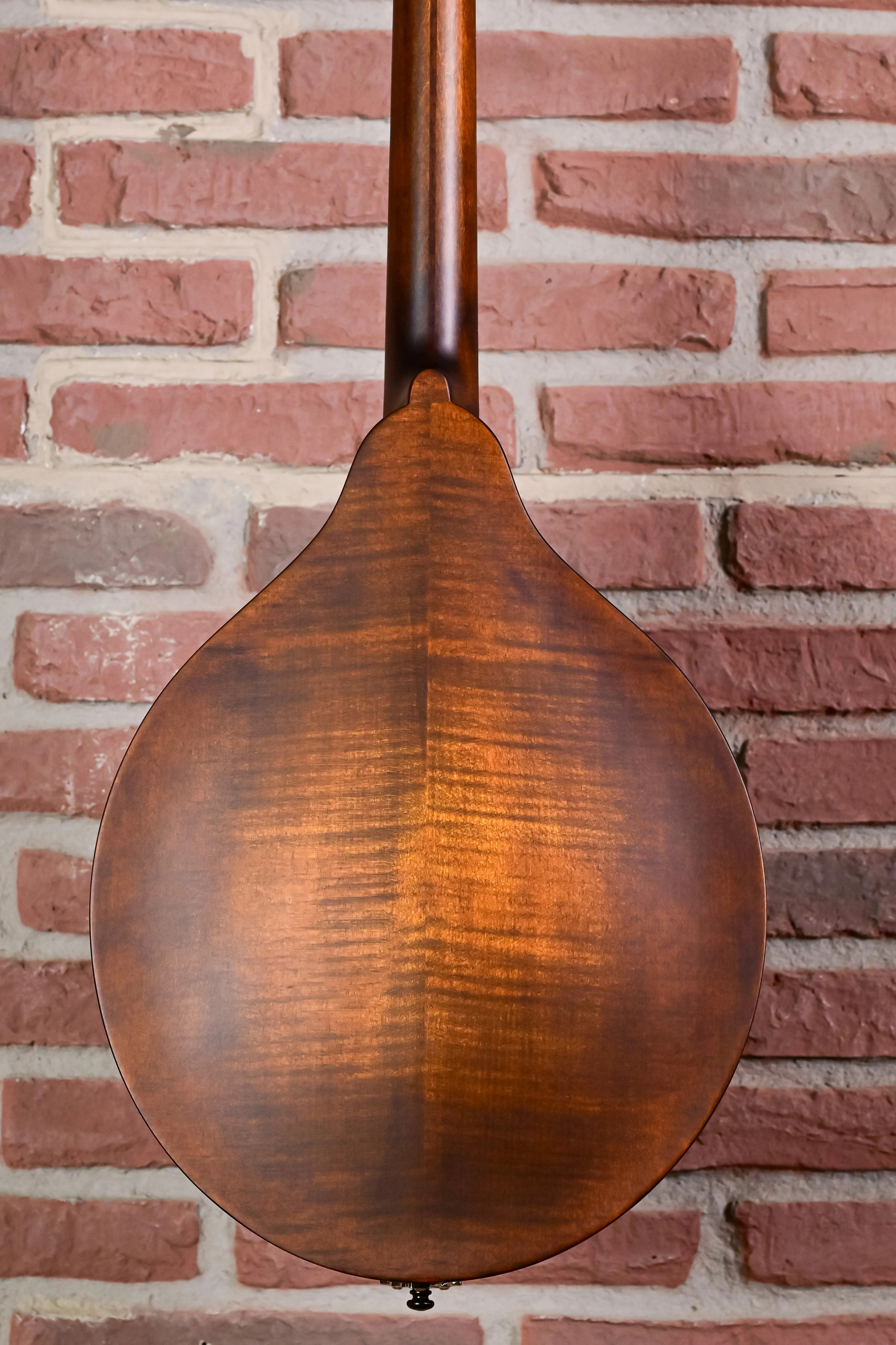 MDO305 Oktav-Mandoline A-Style
