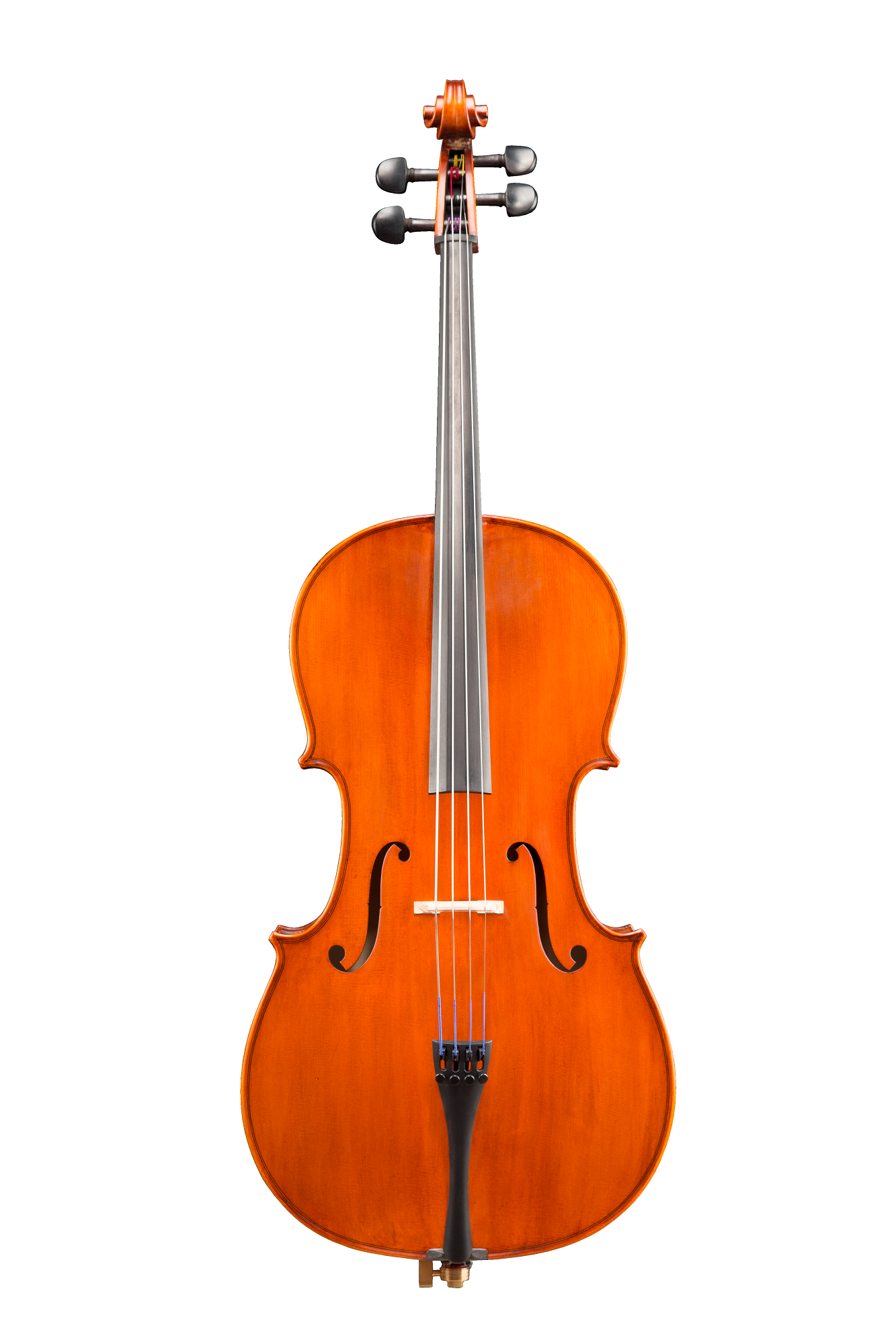Ivan Dunov 4/4 Cello Set VC170