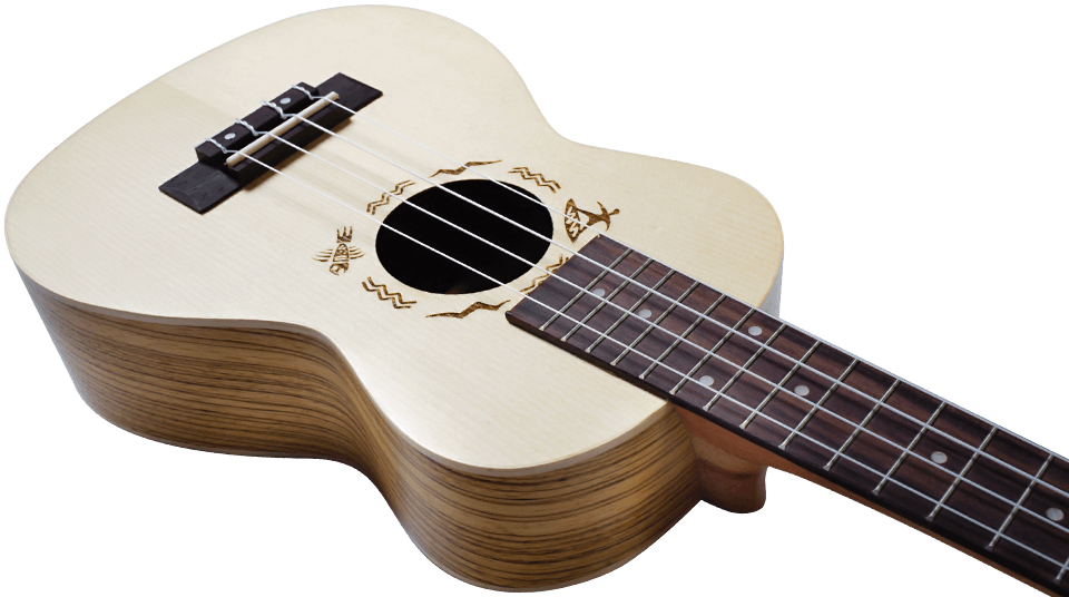 DUC325 SP/ZEB Concert Ukulele