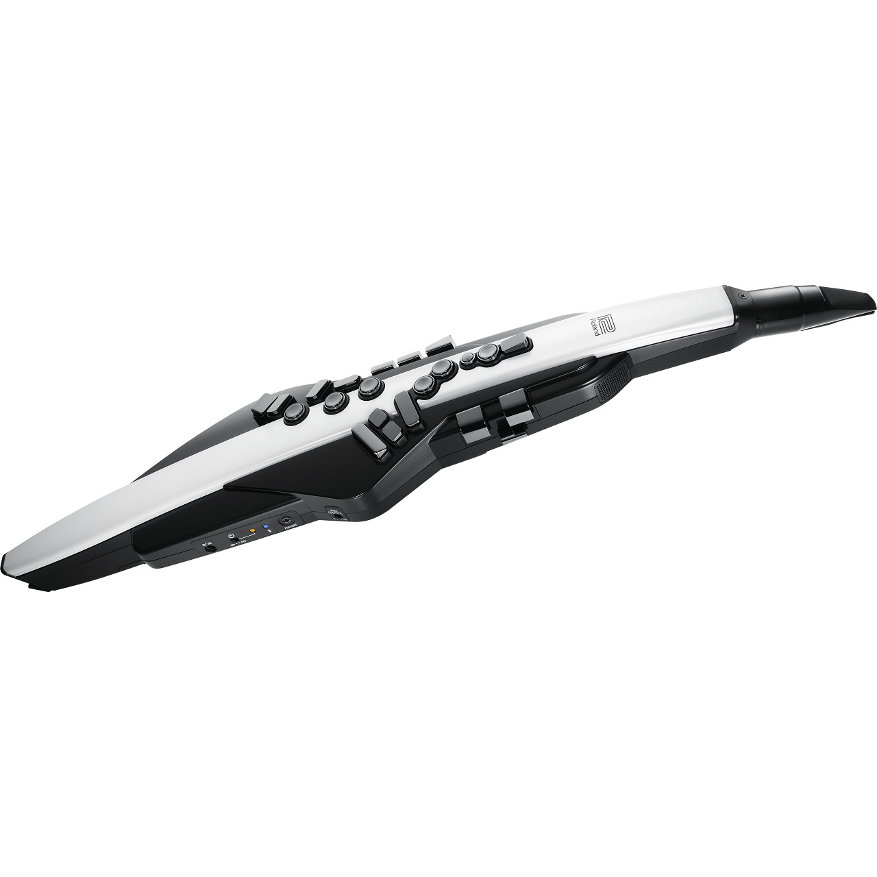 ROLAND AE-20 Aerophone  Hauptansicht