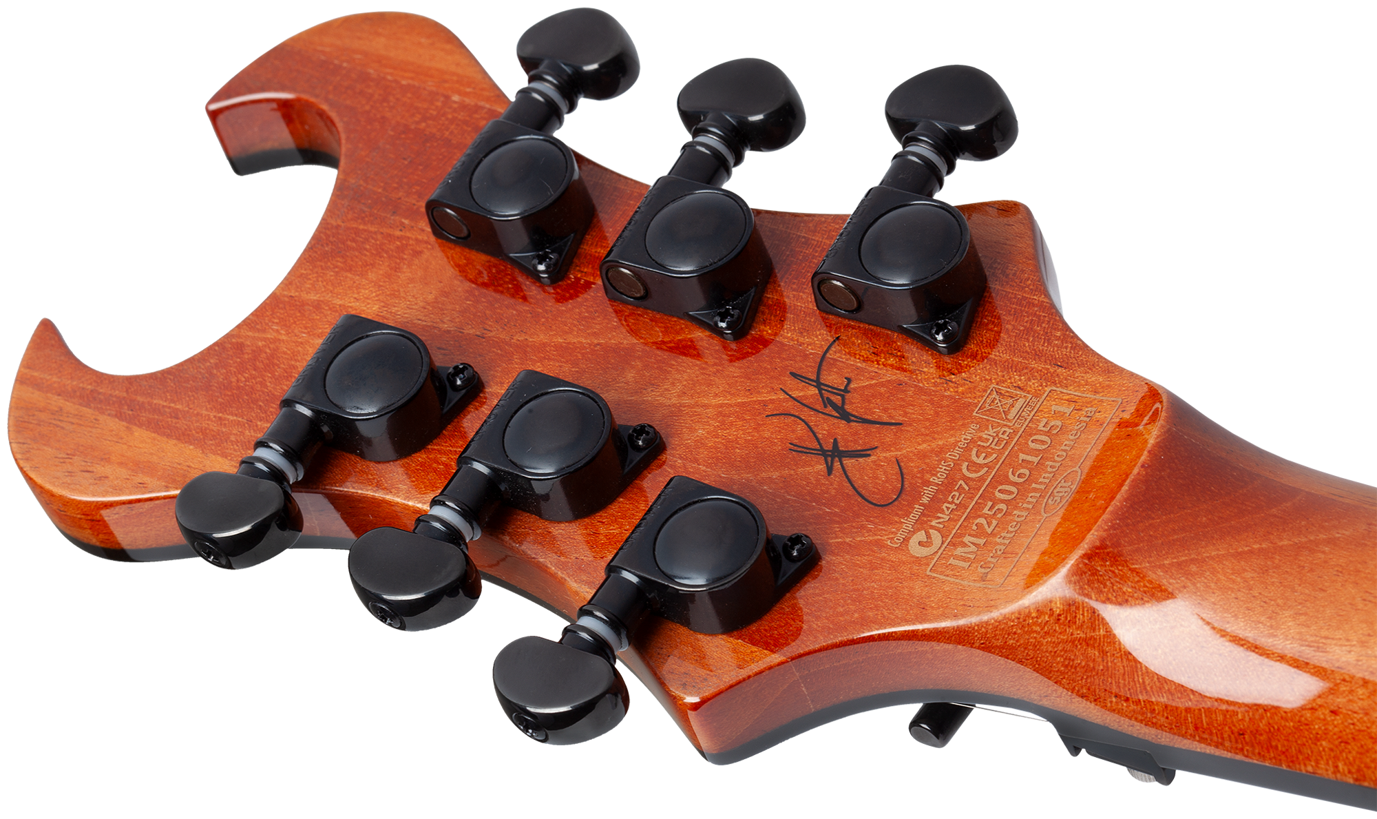 Signature Synyster Standard Plus FR Gloss Natural E-Gitarre