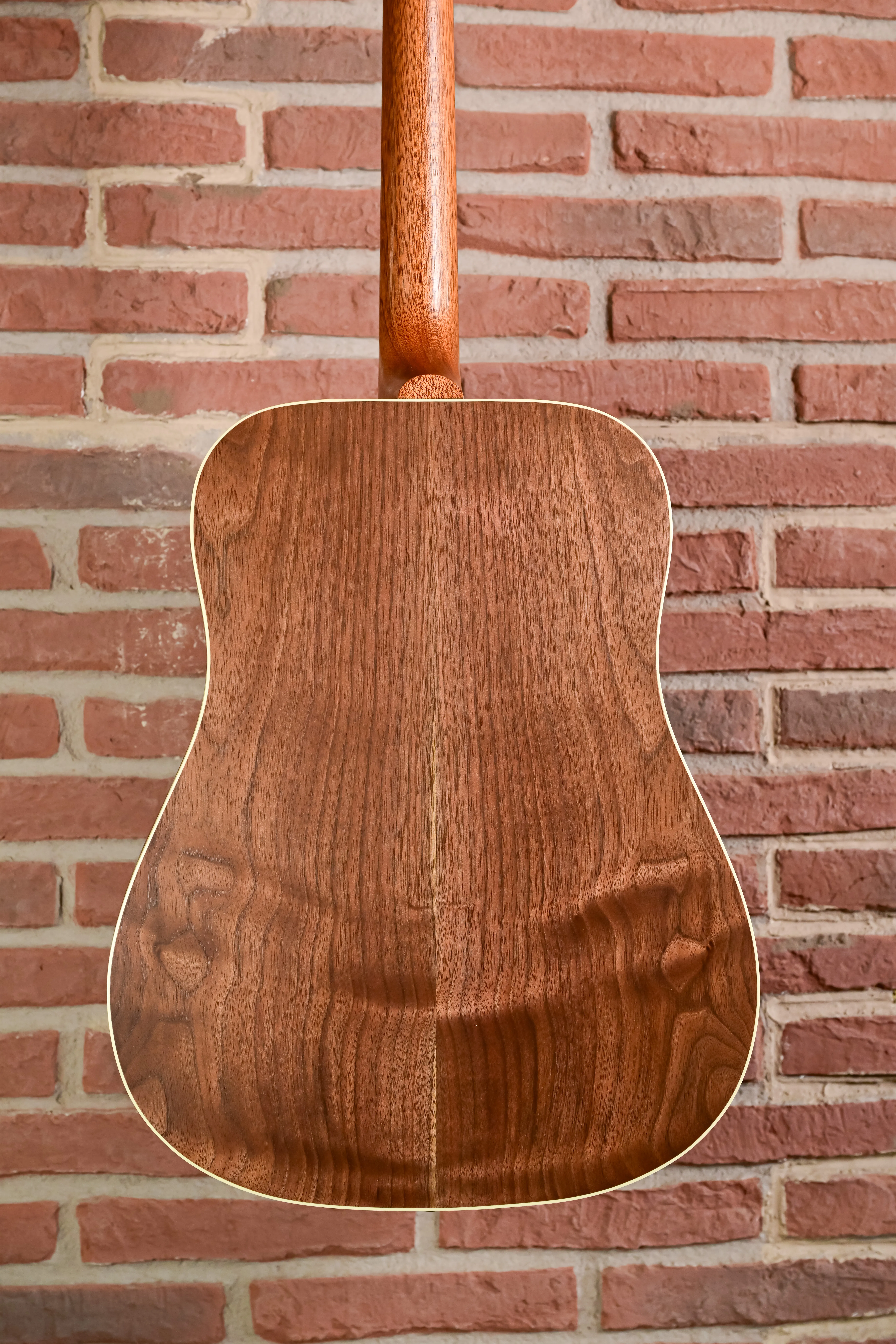 Hummingbird Studio Walnut  Natural
