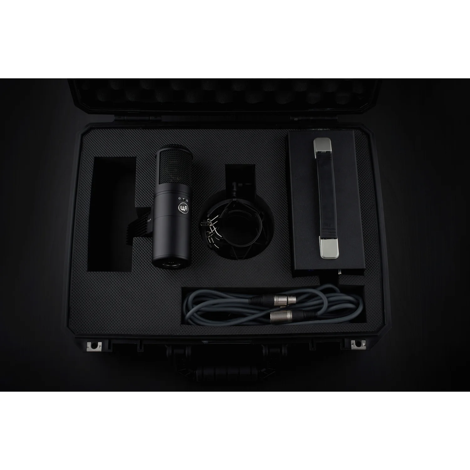 Warm Audio WA-8000 Komplettes Set mit Netzteil Shockmount Kabel und Koffer für sofortigen Einsatz