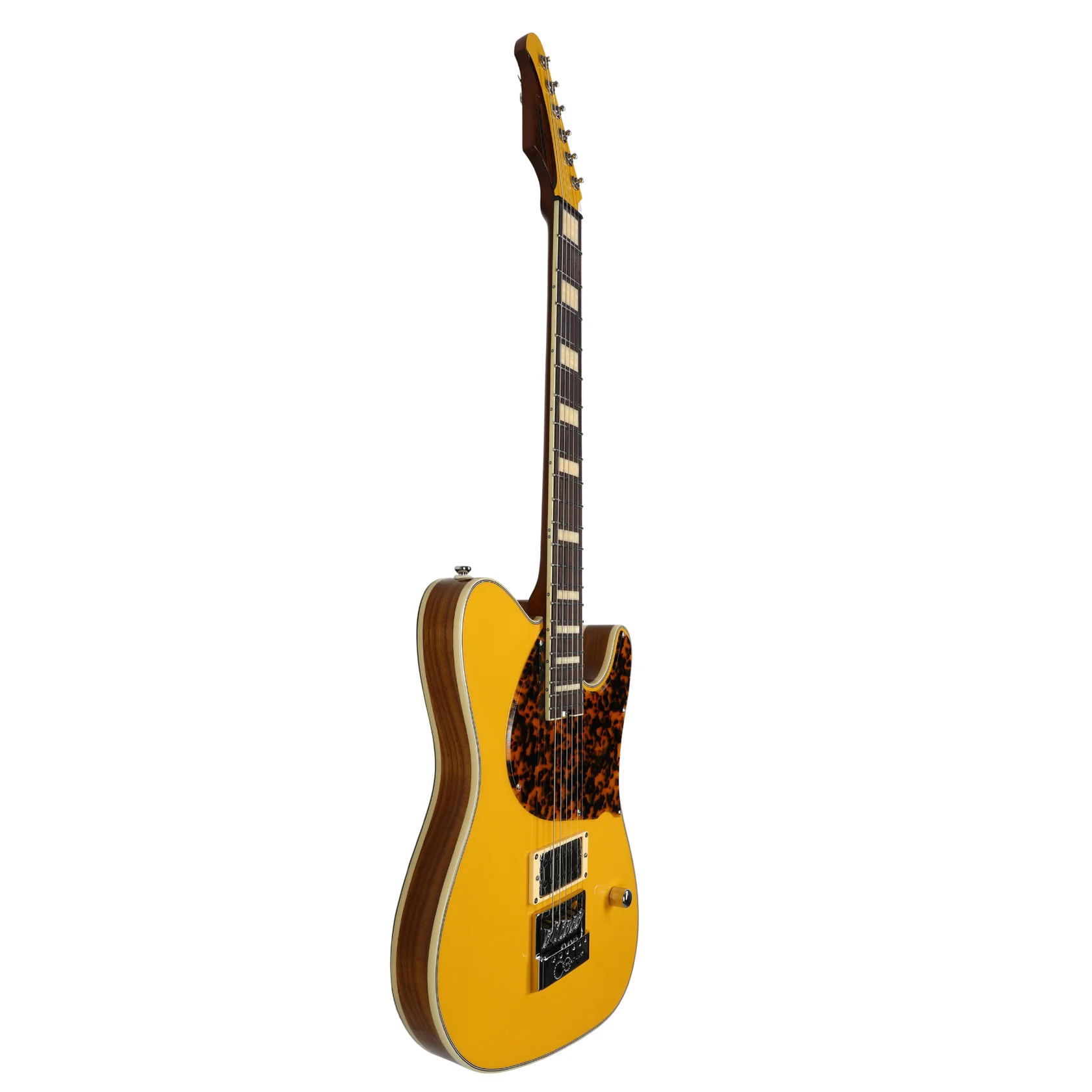 Signature Thicket FYS Gloss Harvest Gold E-Gitarre