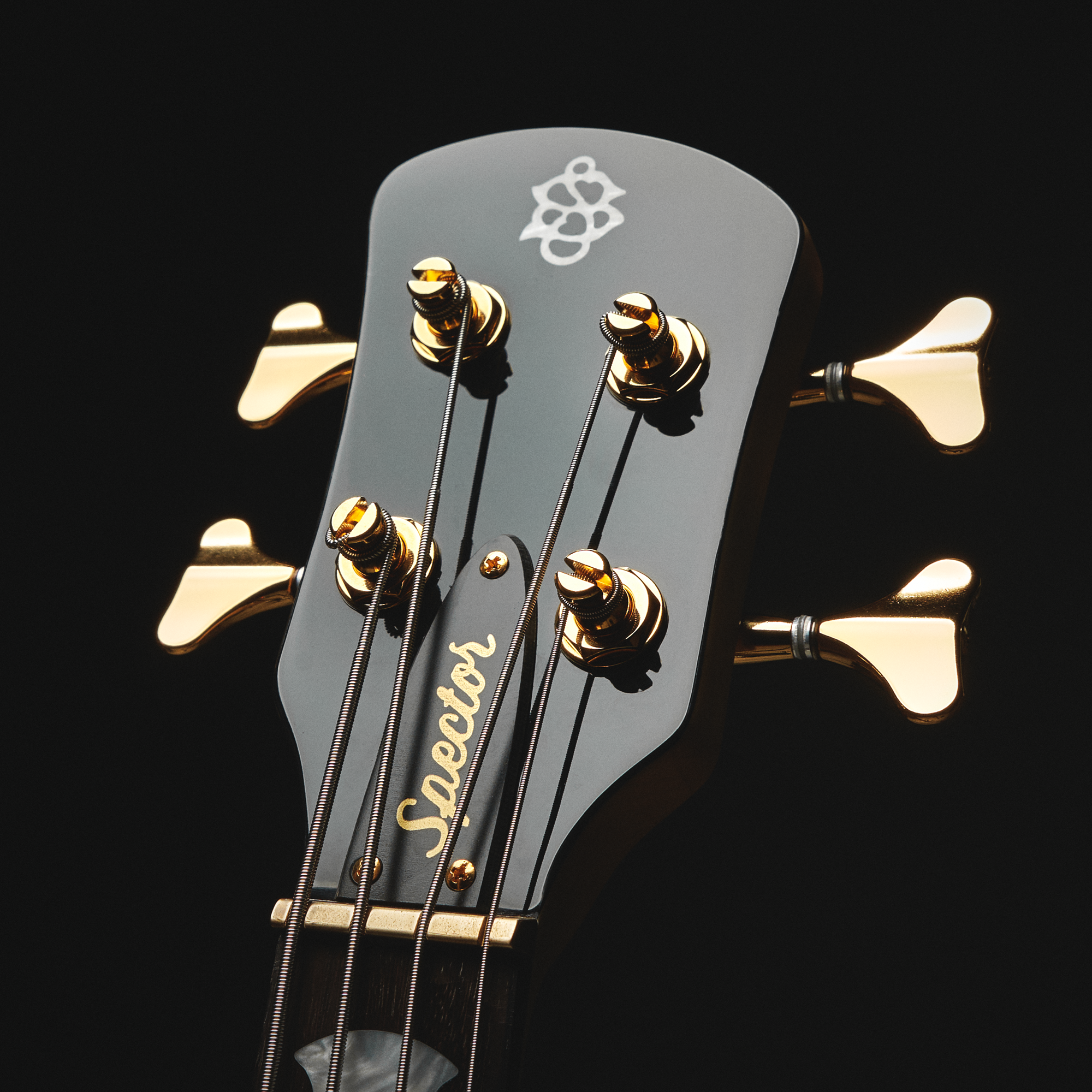 Icon NS-2 Bolt-On Black Stain Gloss