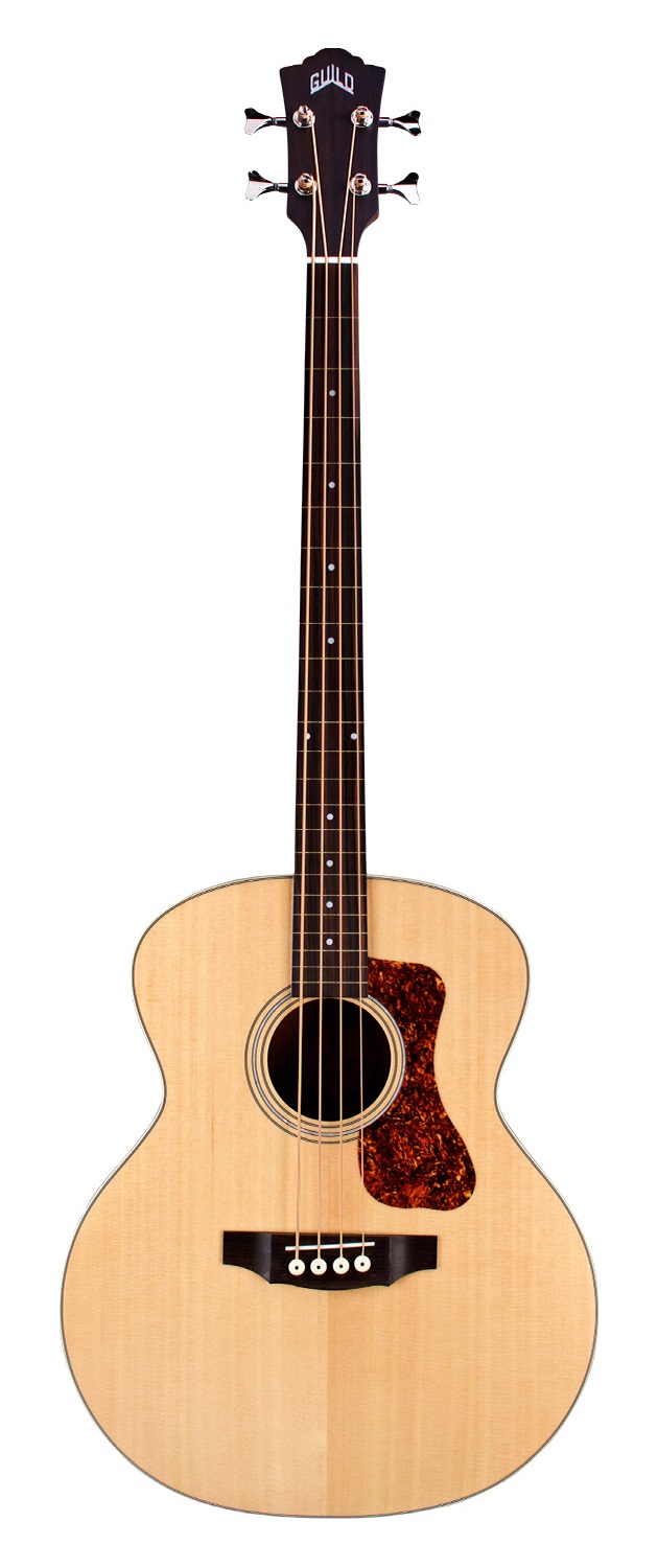 B-240E Fretless Archback NAT