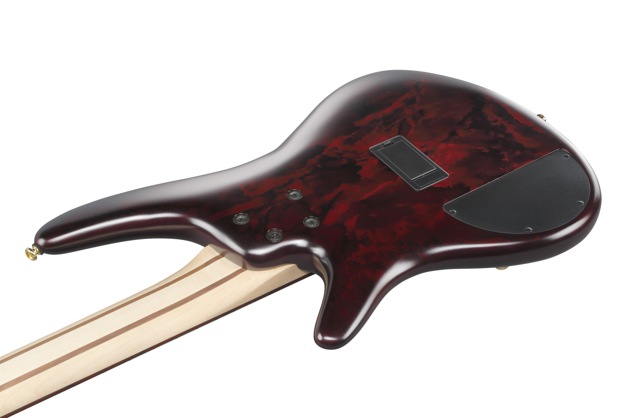 SR305EDX-WZM 5-Saiter Bass