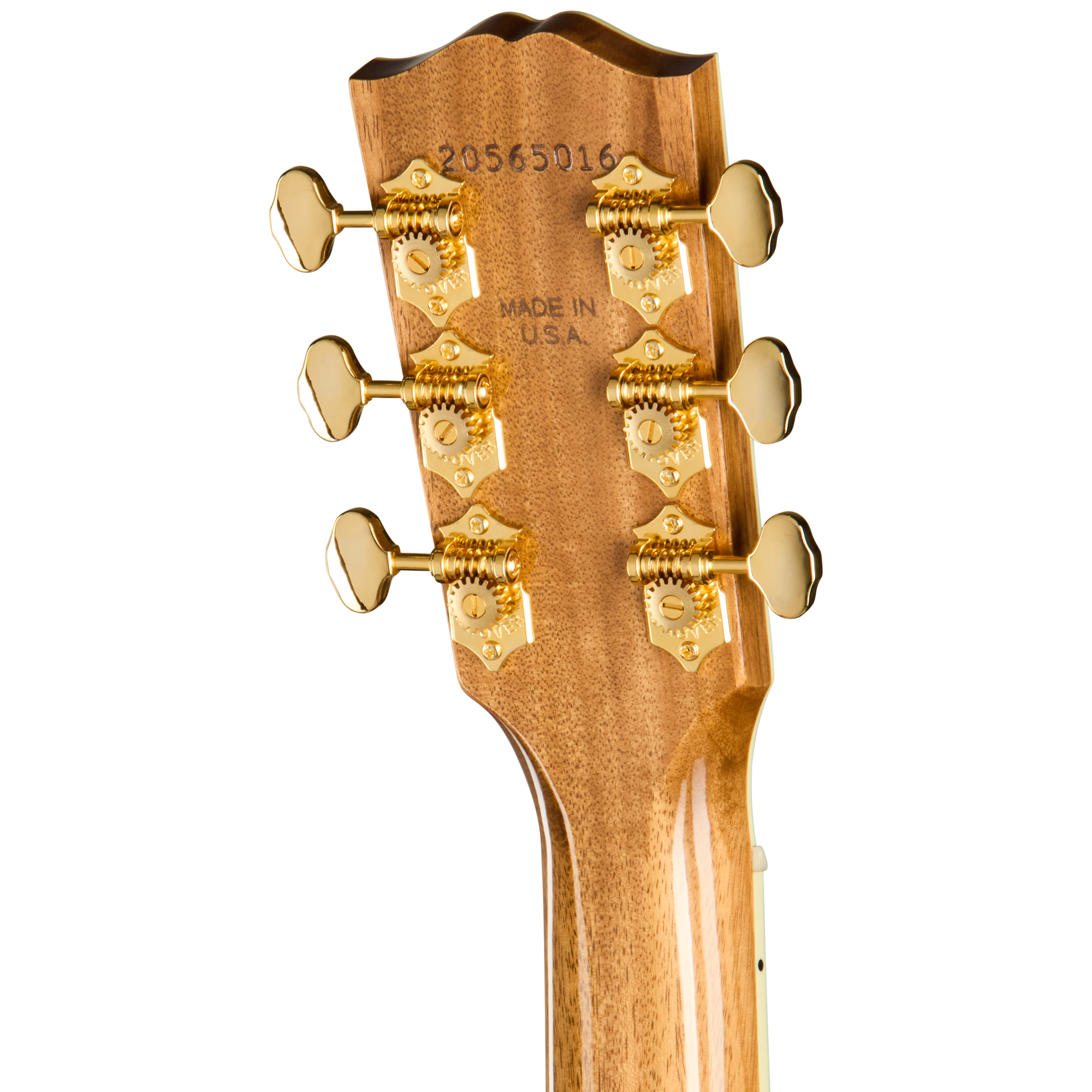 Songwriter Recording Artist EC Rosewood Burst