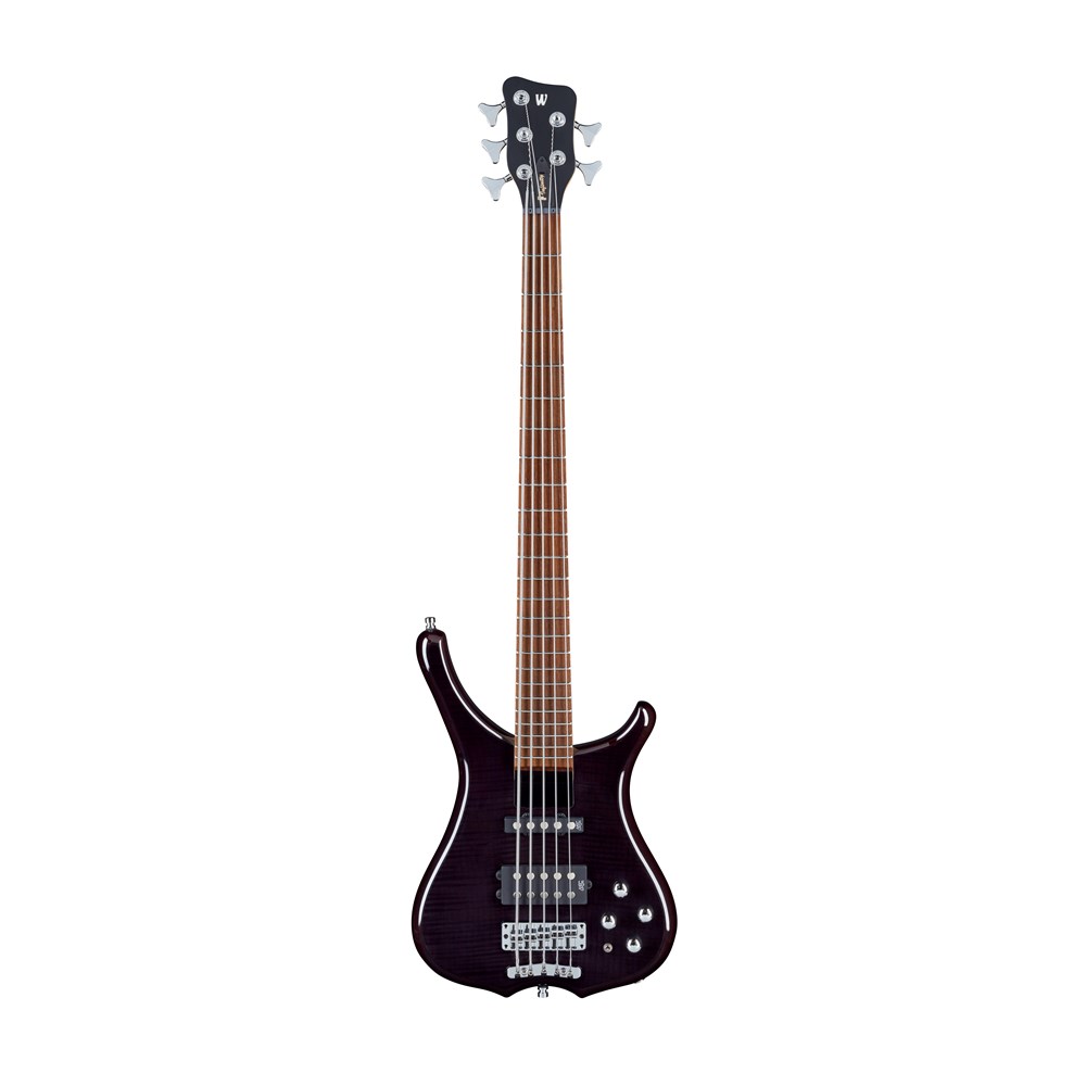 Infinity 5-String Black High Polish