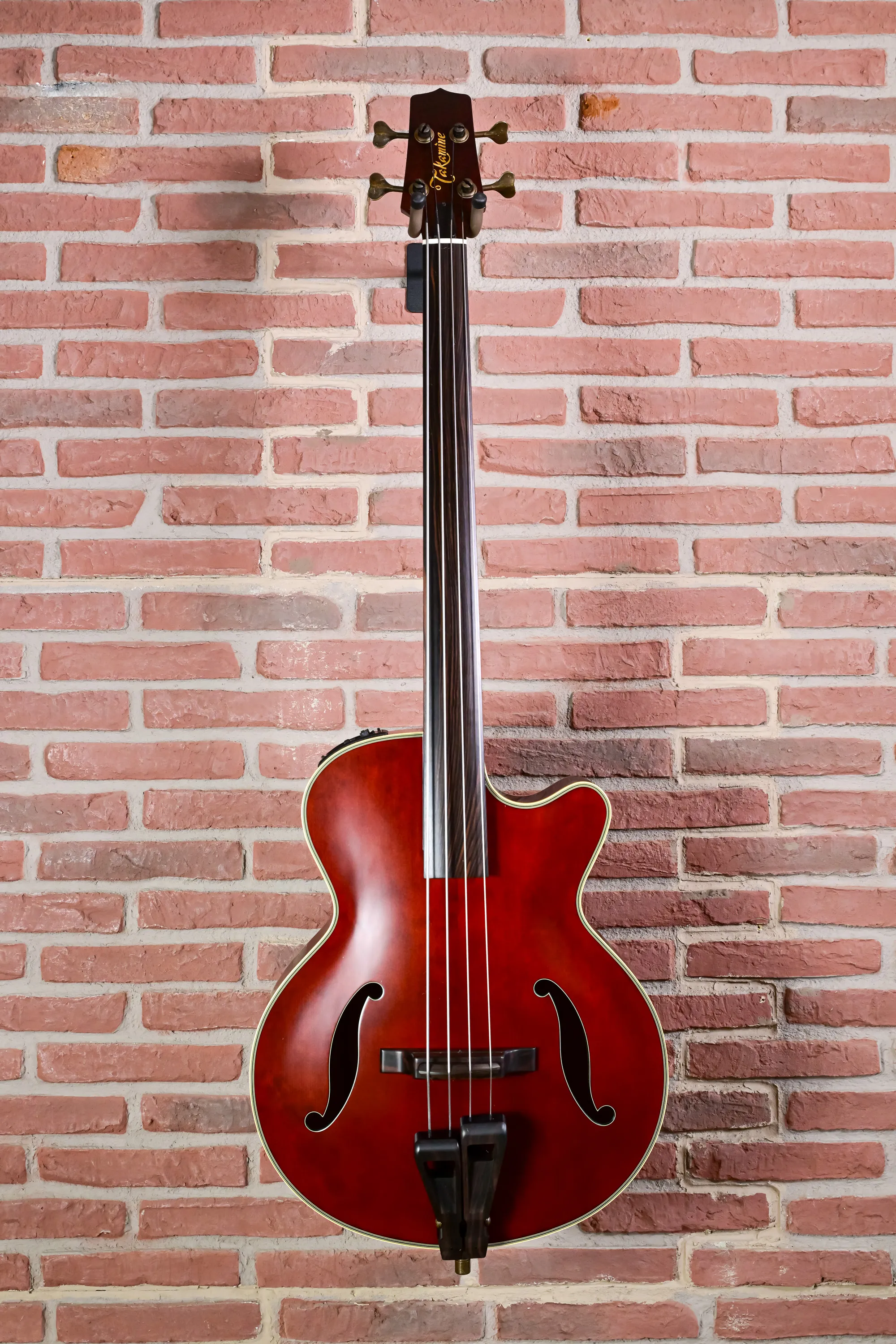 TB10 Fretless Akustik Bass