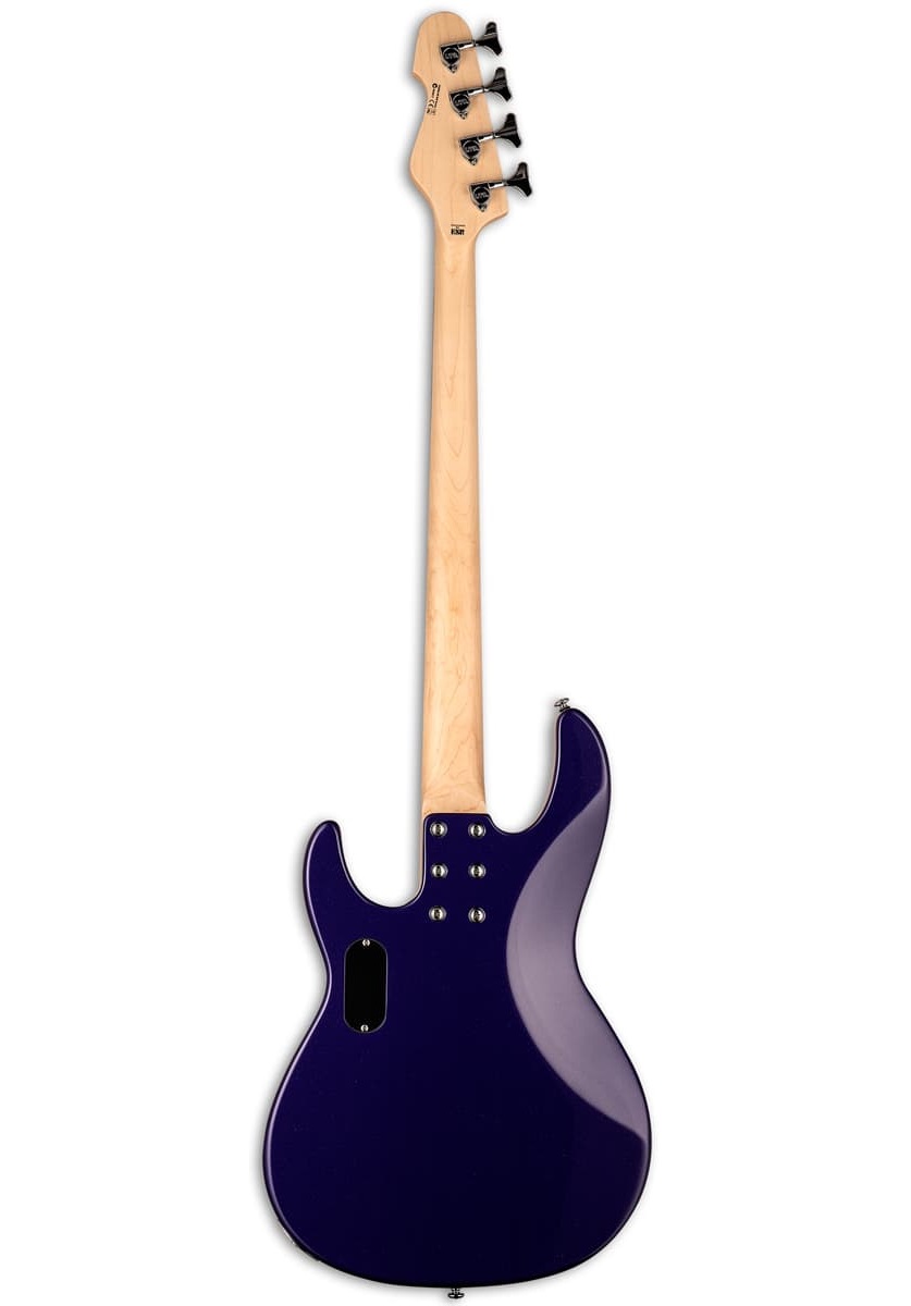 AP-204 DMP DARK METALLIC PURPLE