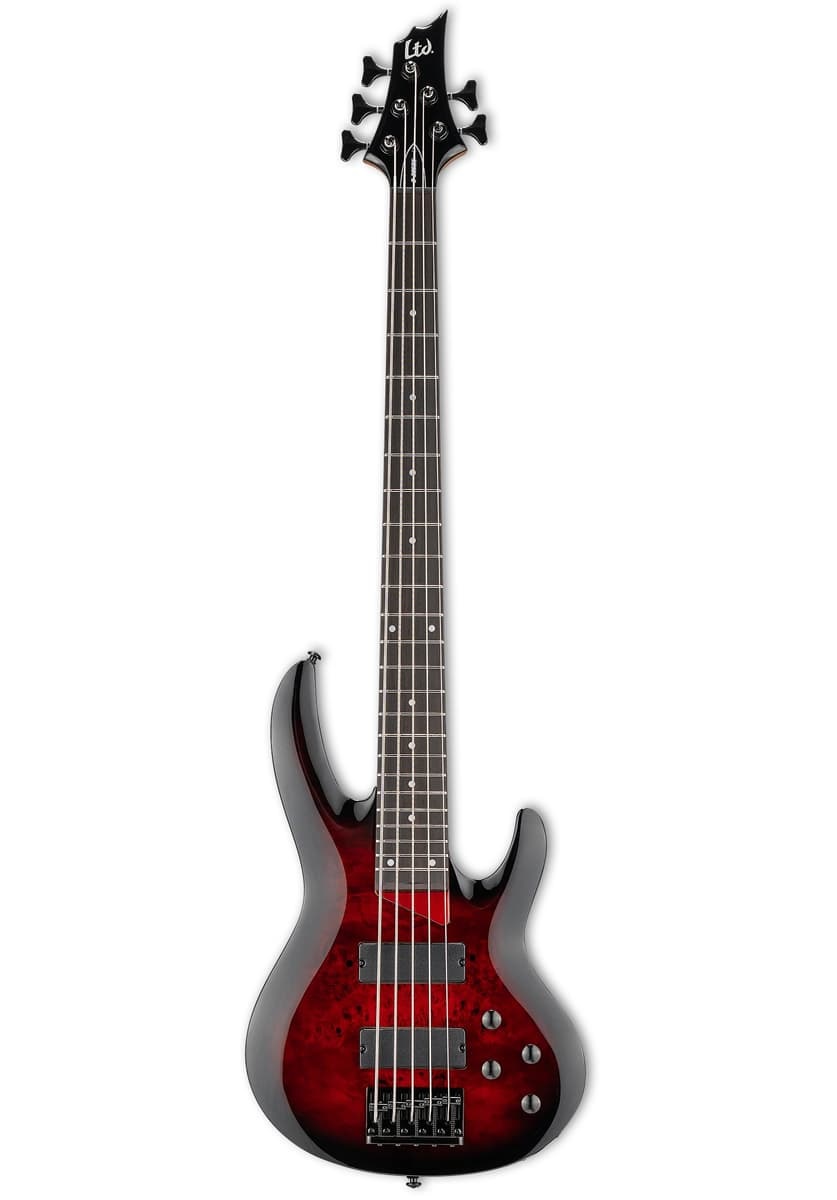 B-205DX Red Burst 5-String E-Bass