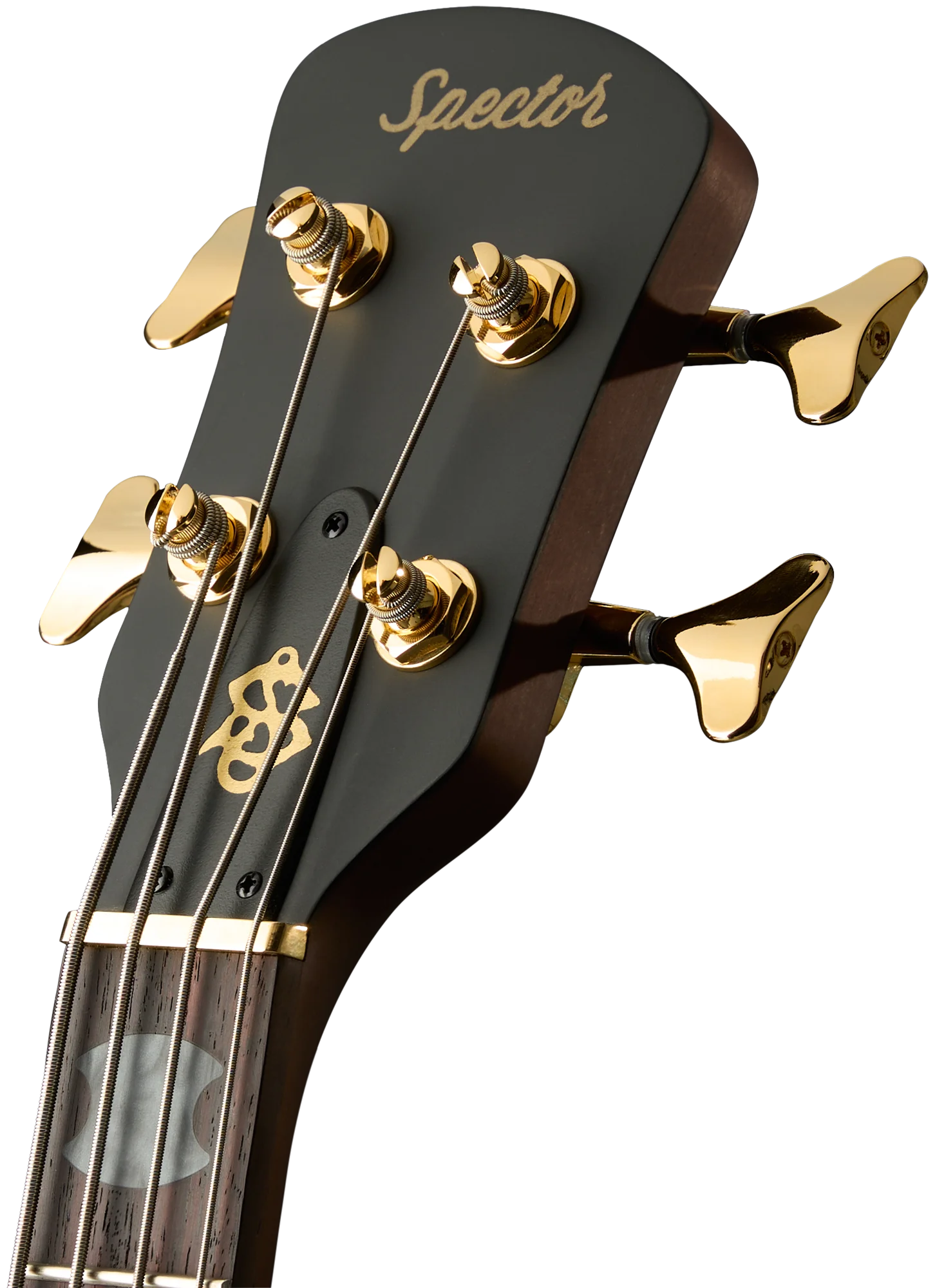 Euro Rex Brown 4 Desert Gold Bass