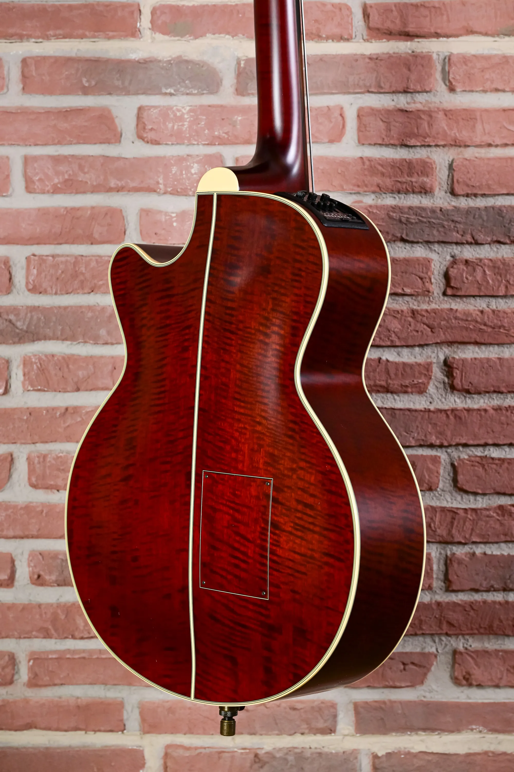 TB10 Fretless Akustik Bass