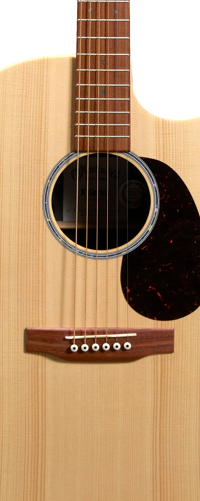 GPC-X2E Cocobolo Remastered