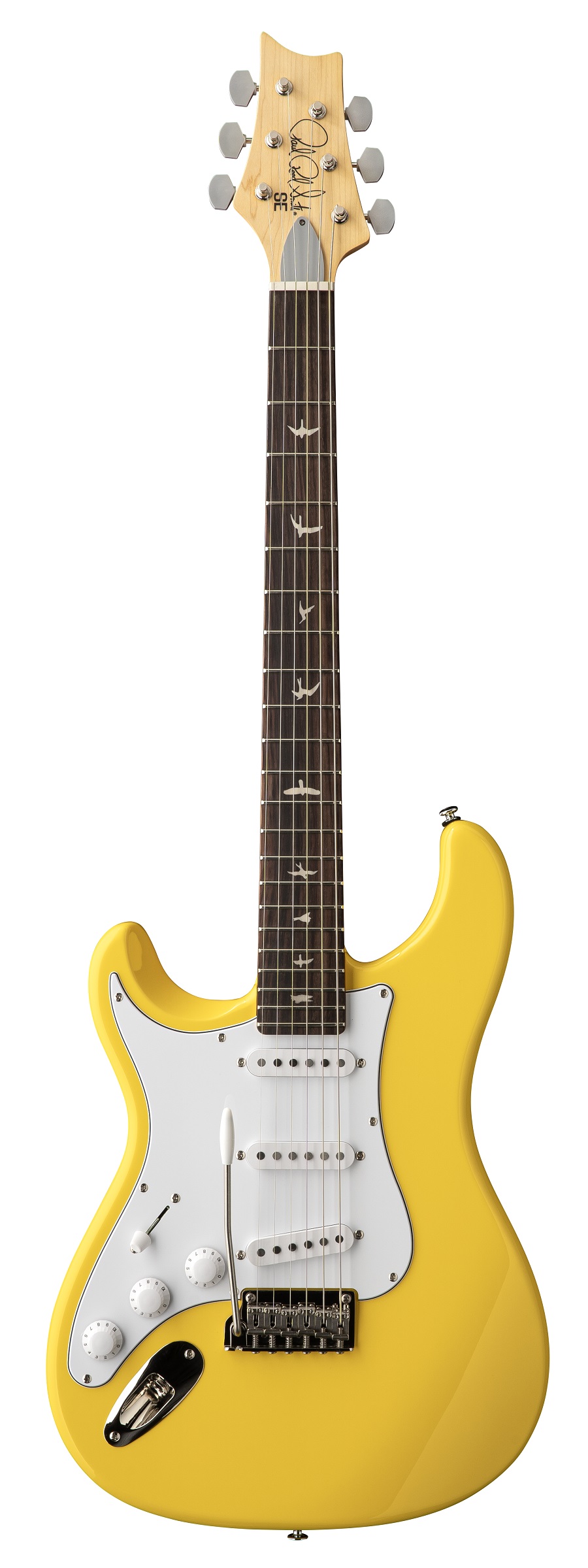 SE Silver Sky  Lefthand Dandy  Lion