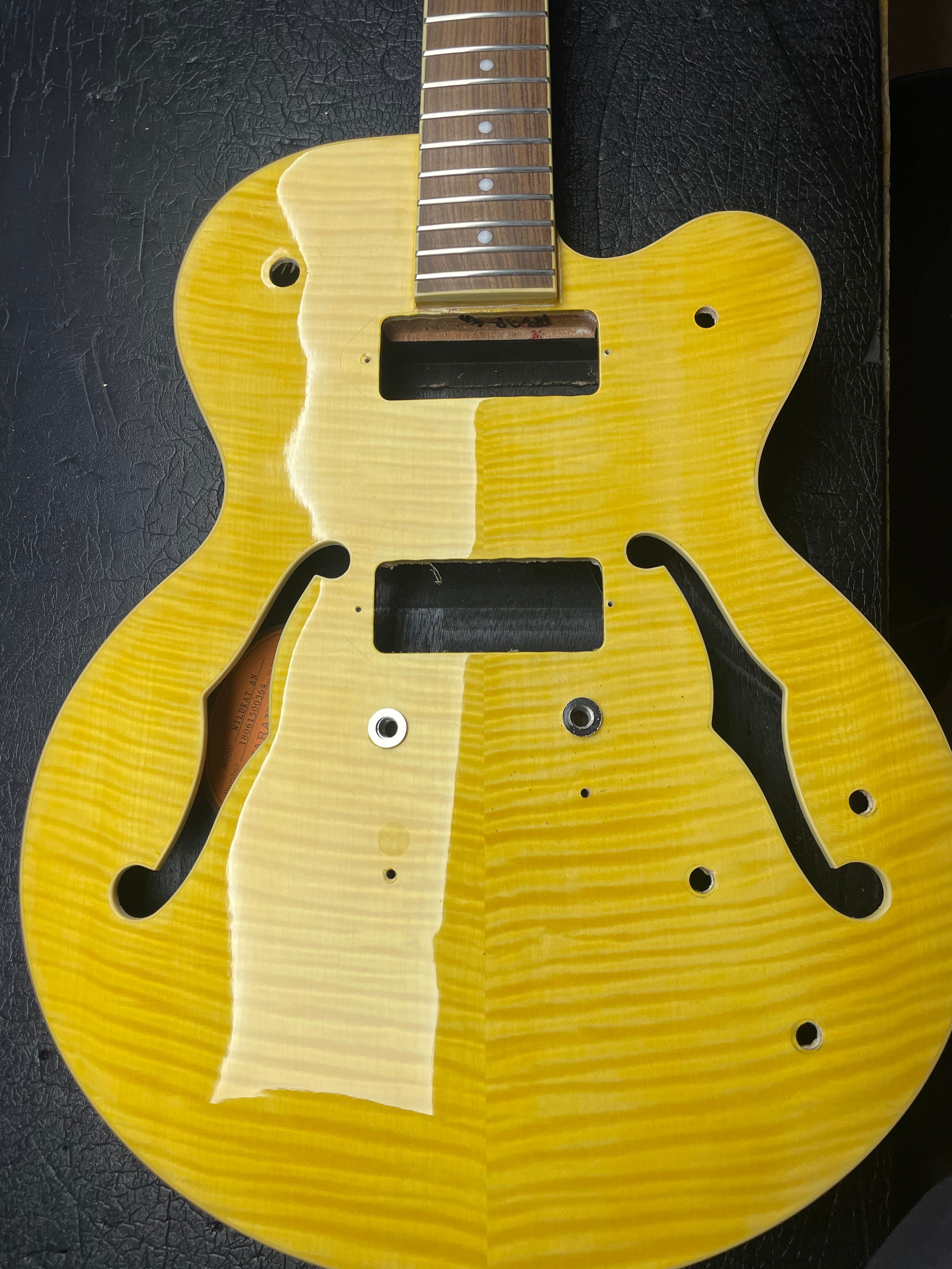 Wildkat Standard AN - Halbresonanz (Body mit Hals)