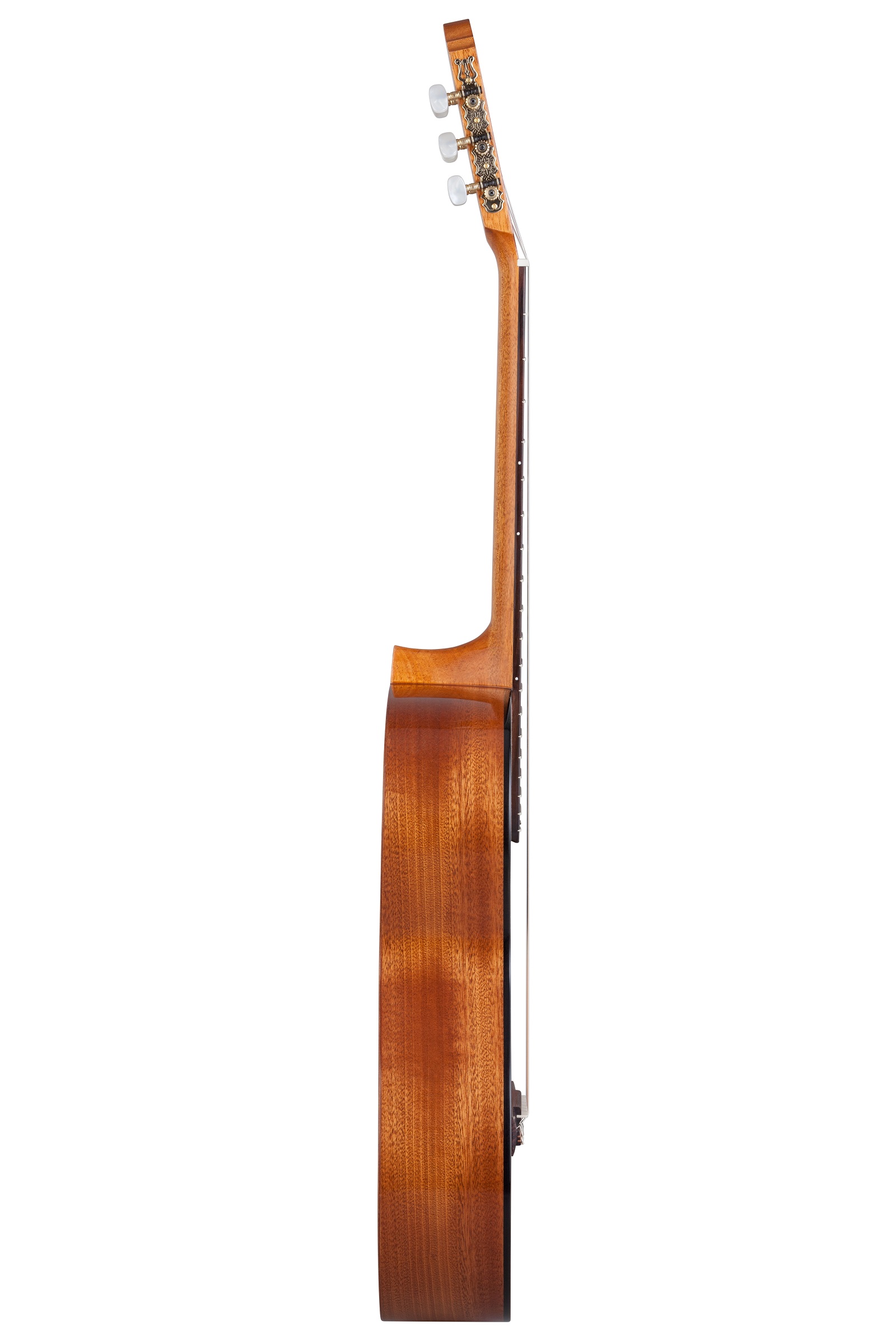 S65C Soloist  Konzertgitarre