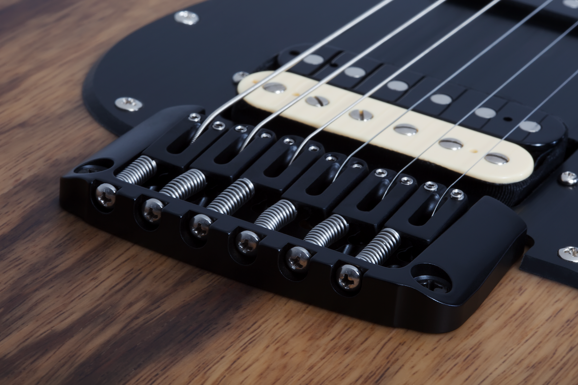 Sun Valley Super Shredder Exotic Black Limba E-Gitarre