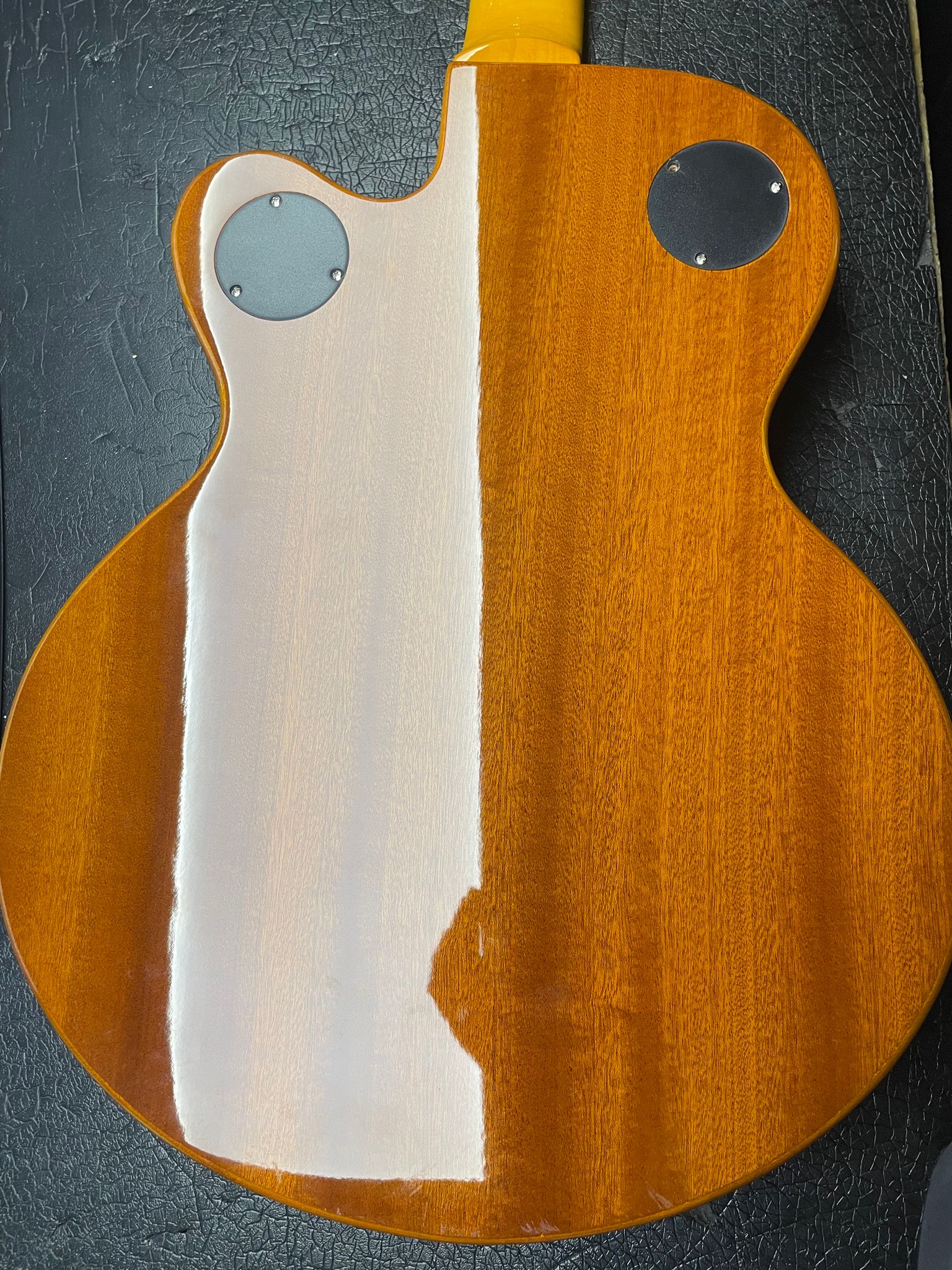 Wildkat Standard AN - Halbresonanz (Body mit Hals)