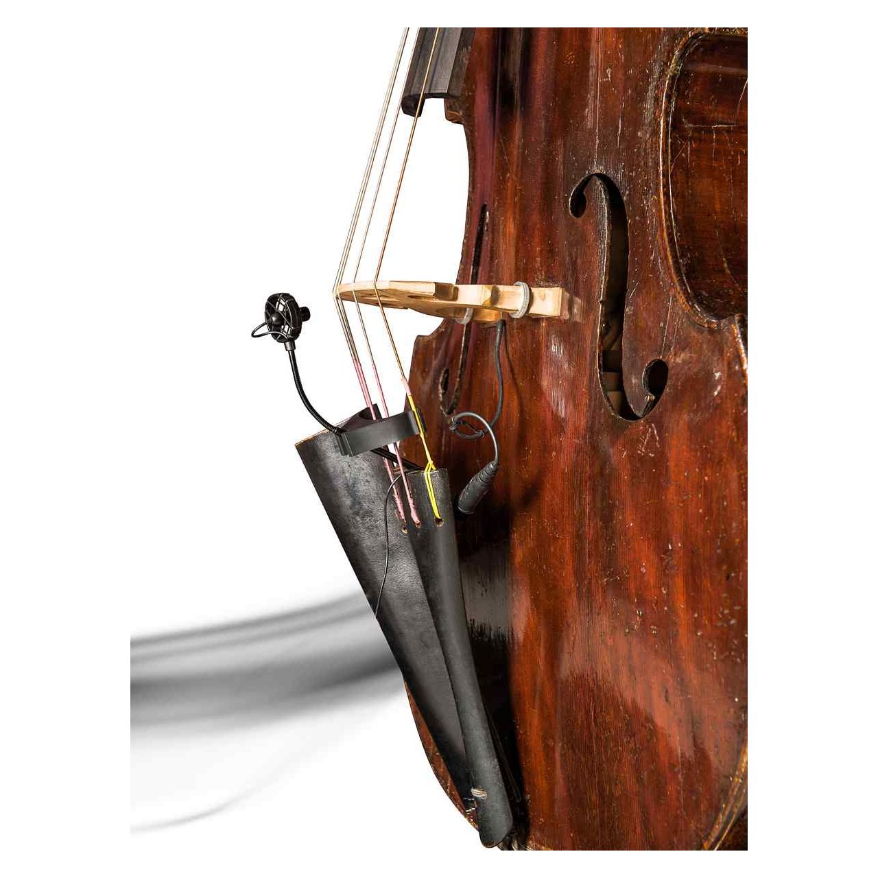 BL21 Lanen Contrabass