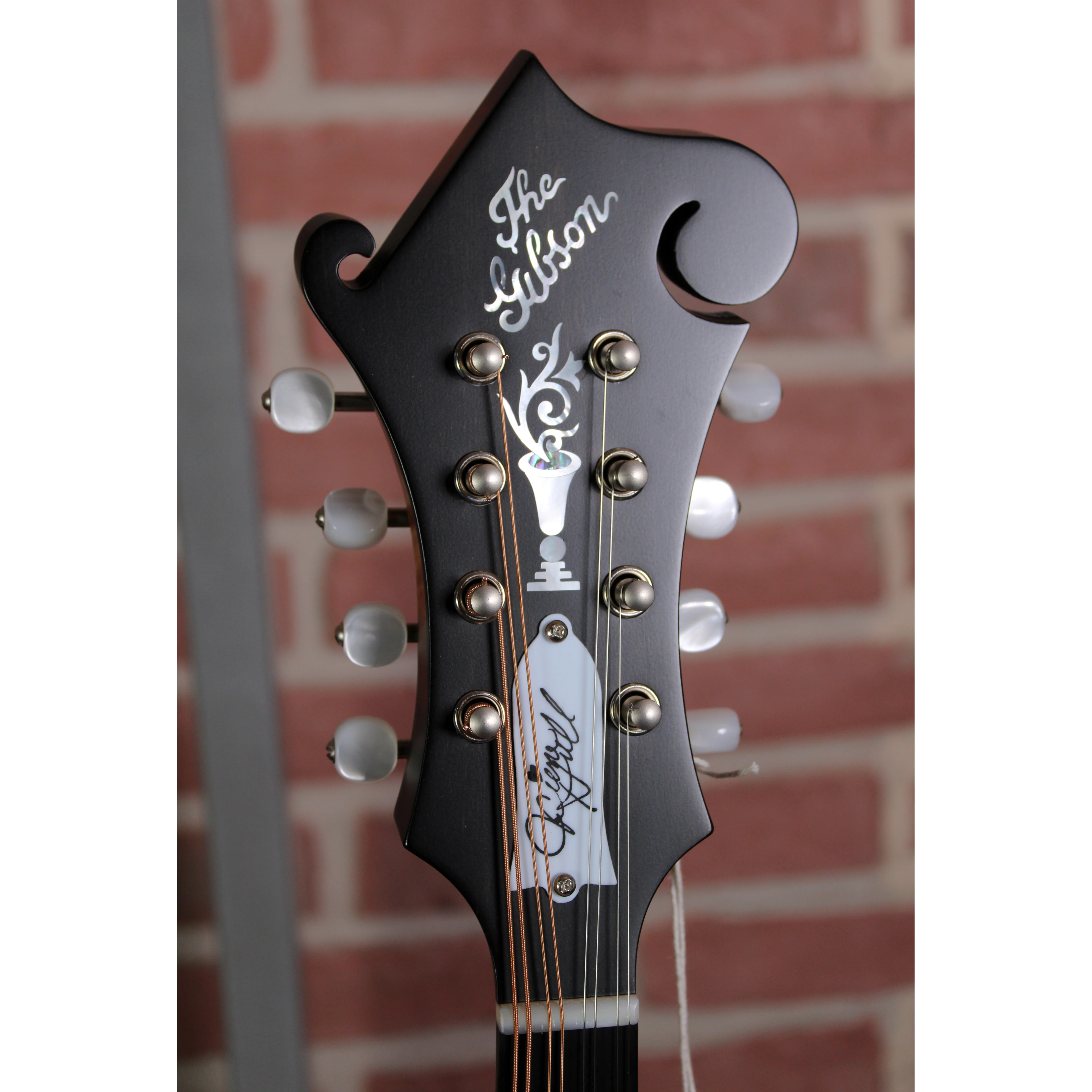 Custom F-5G Sierra Hull Sierra Burst VOS Varnish Gloss