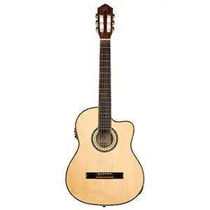 Akustikgitarren