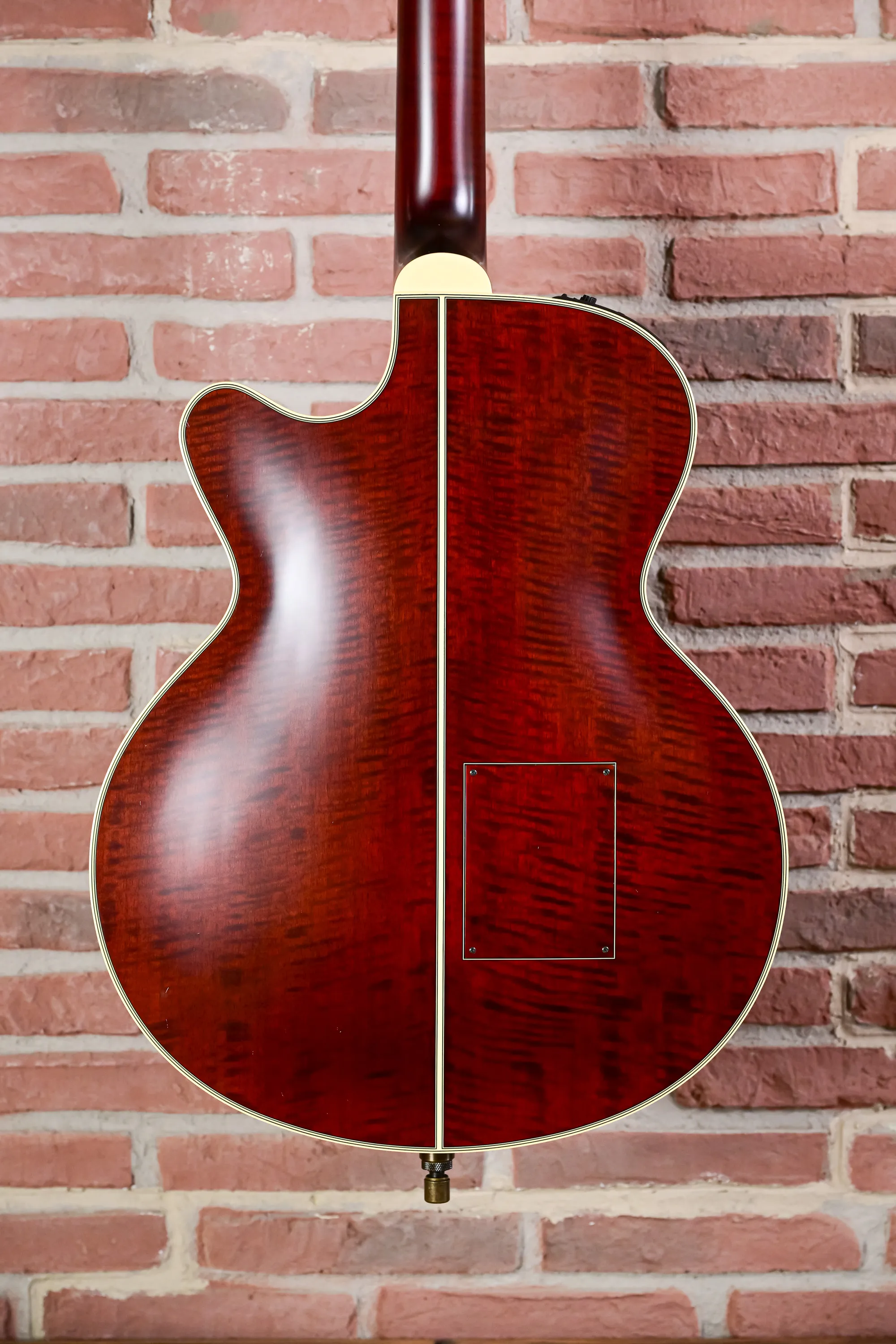 TB10 Fretless Akustik Bass