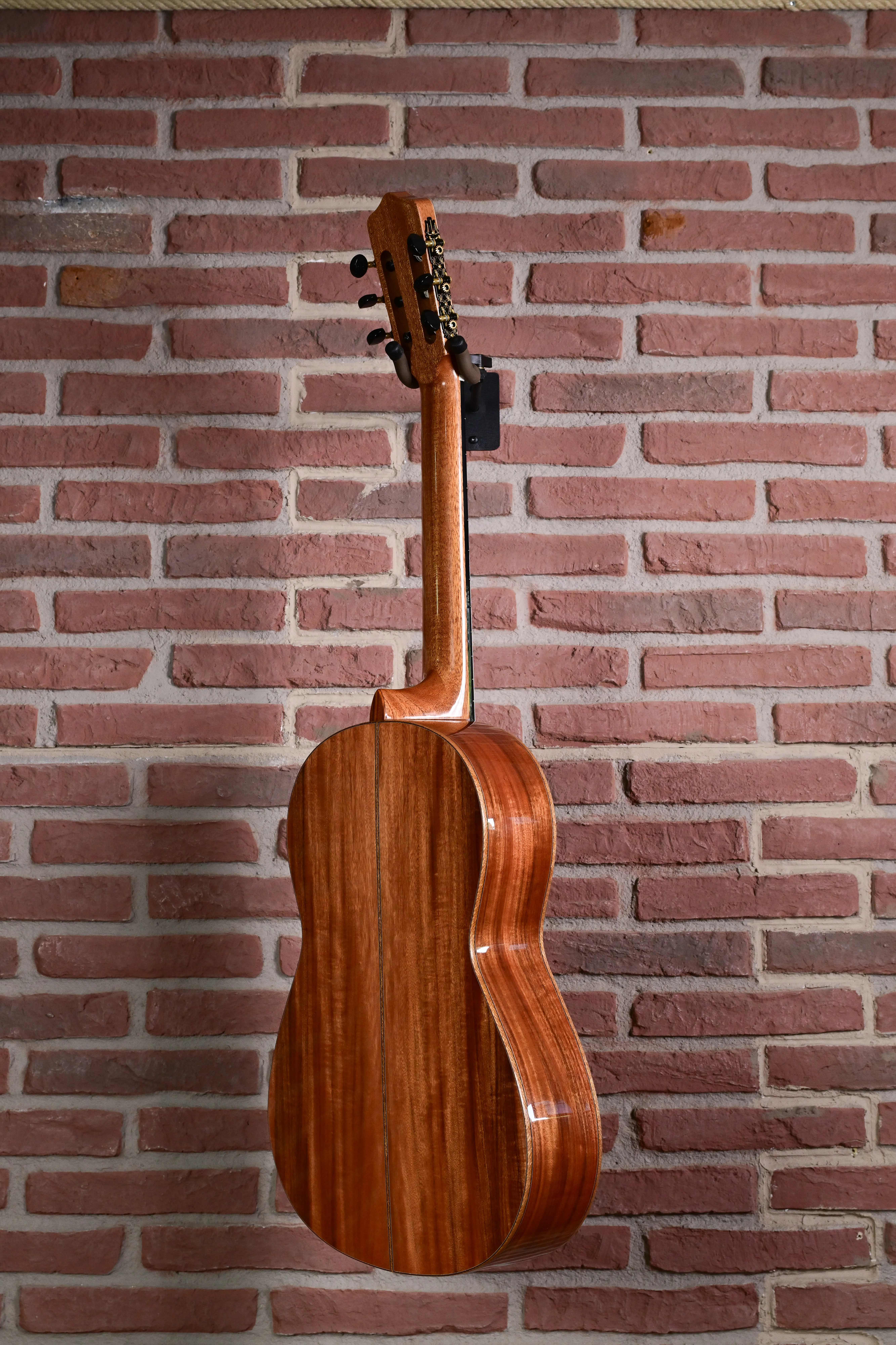 Rosa Artista RA Flamencogitarre
