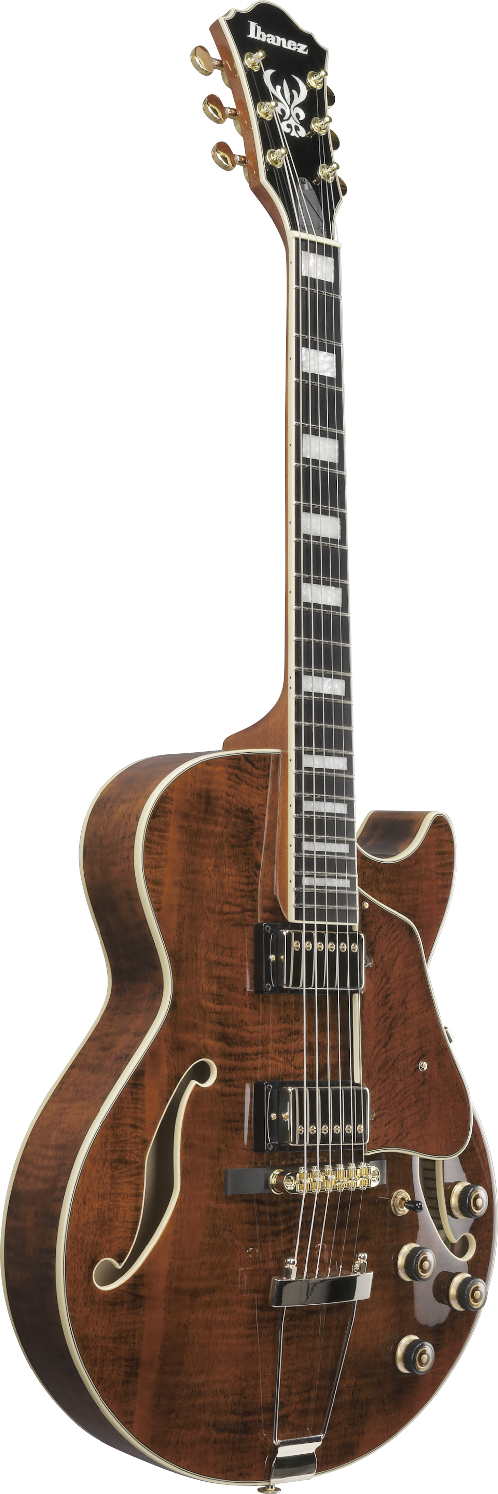AG95MG-DA Artcore Hollowbody  