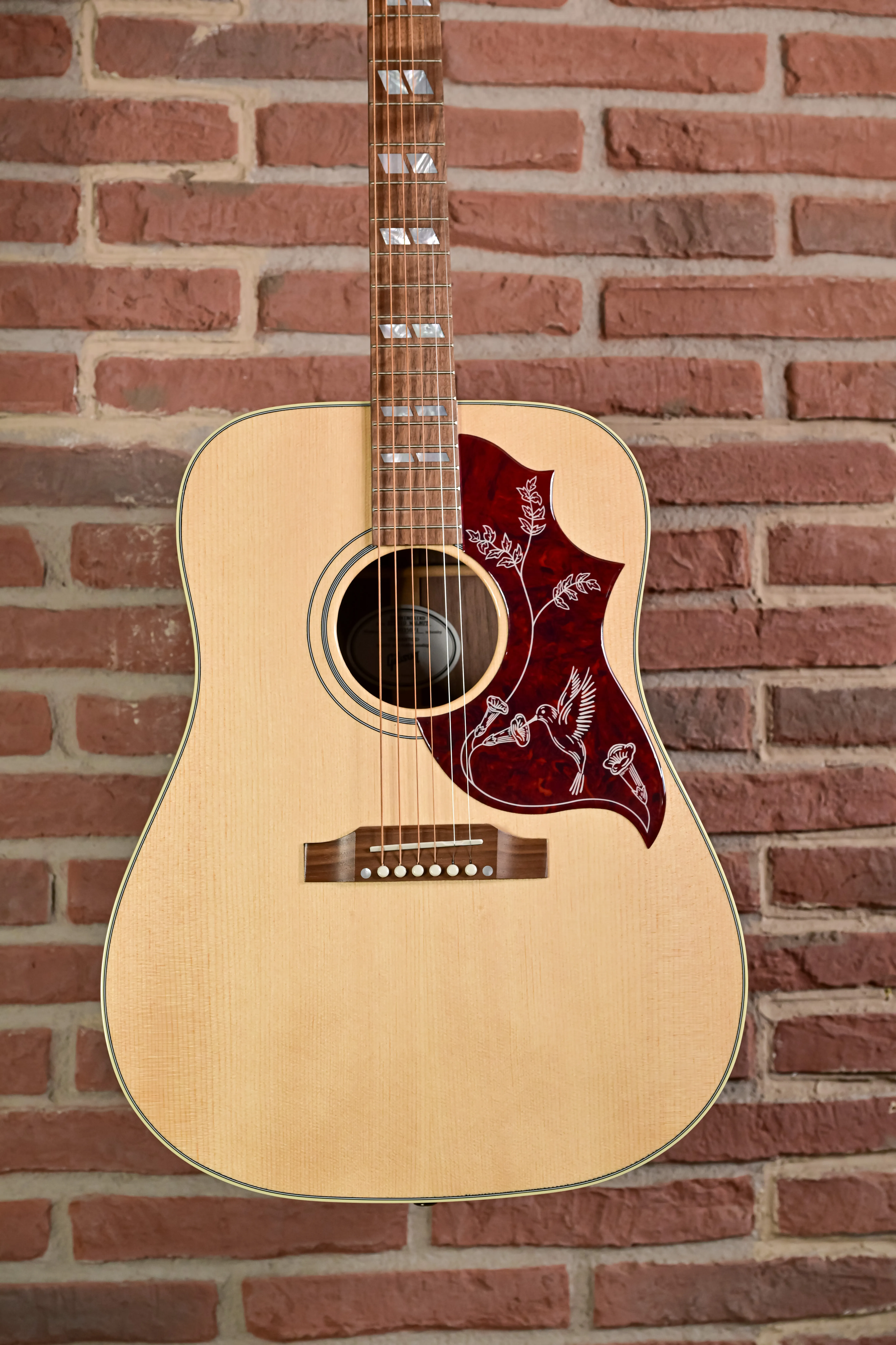 Hummingbird Studio Walnut  Natural