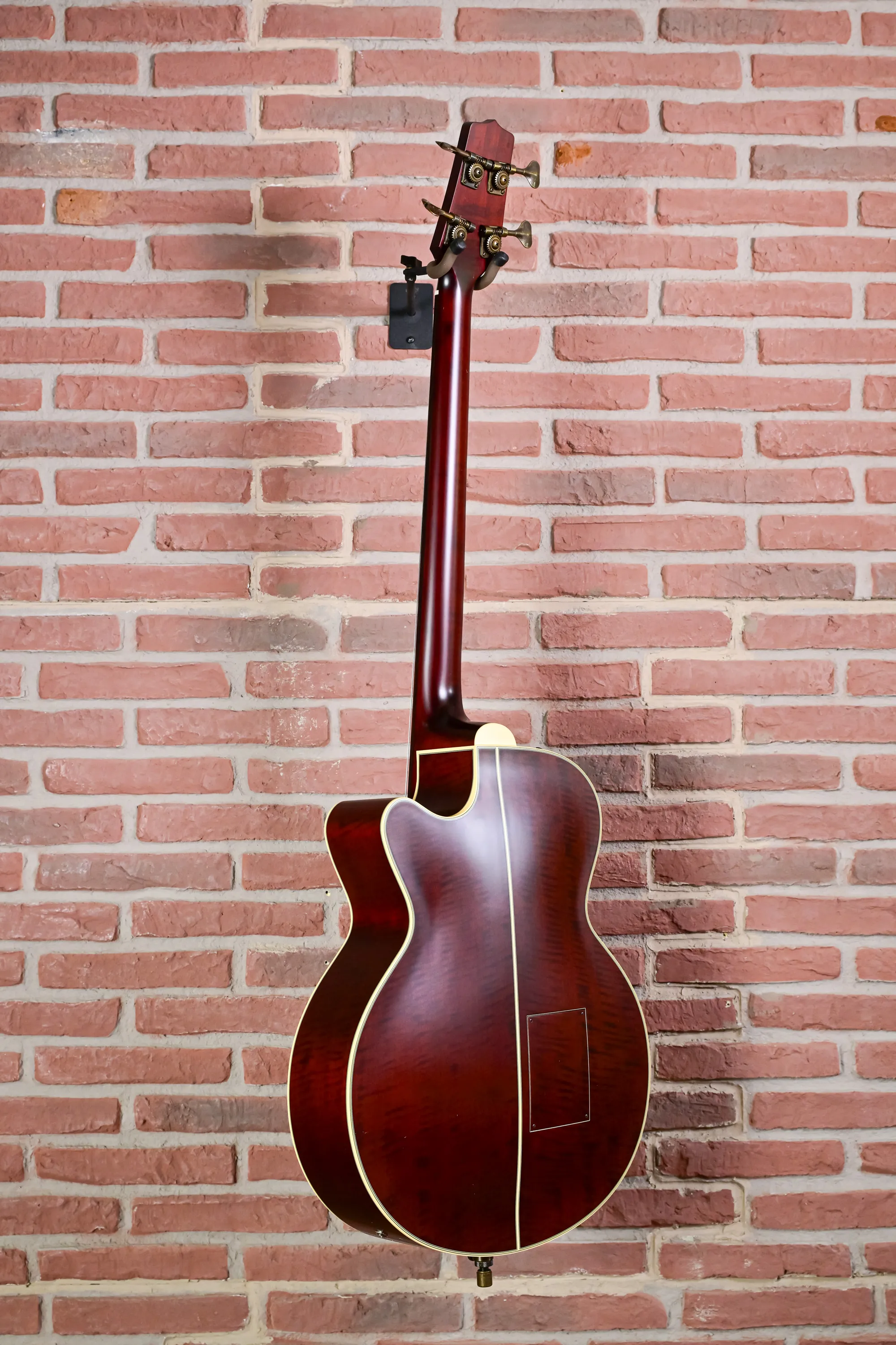 TB10 Fretless Akustik Bass