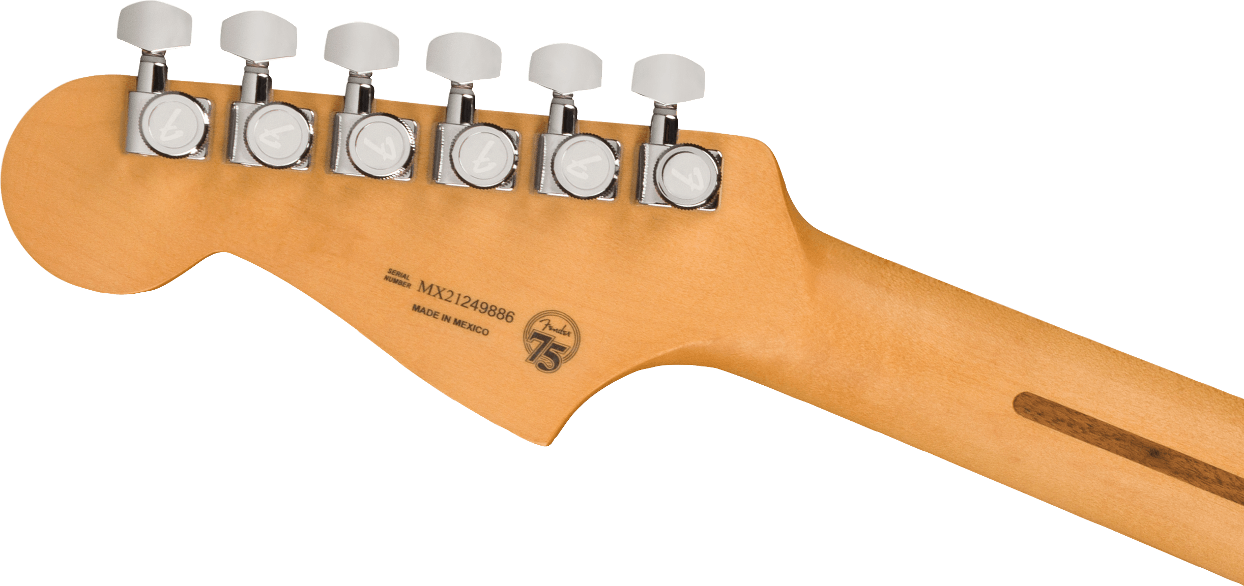 Player Plus Meteora® HH, Pau Ferro Fingerboard, Cosmic Jade