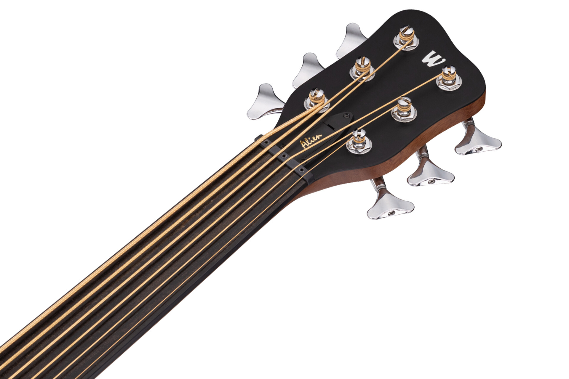 Alien 6 Natural 6-String Acoustic Bass Fretless (B-Stock)