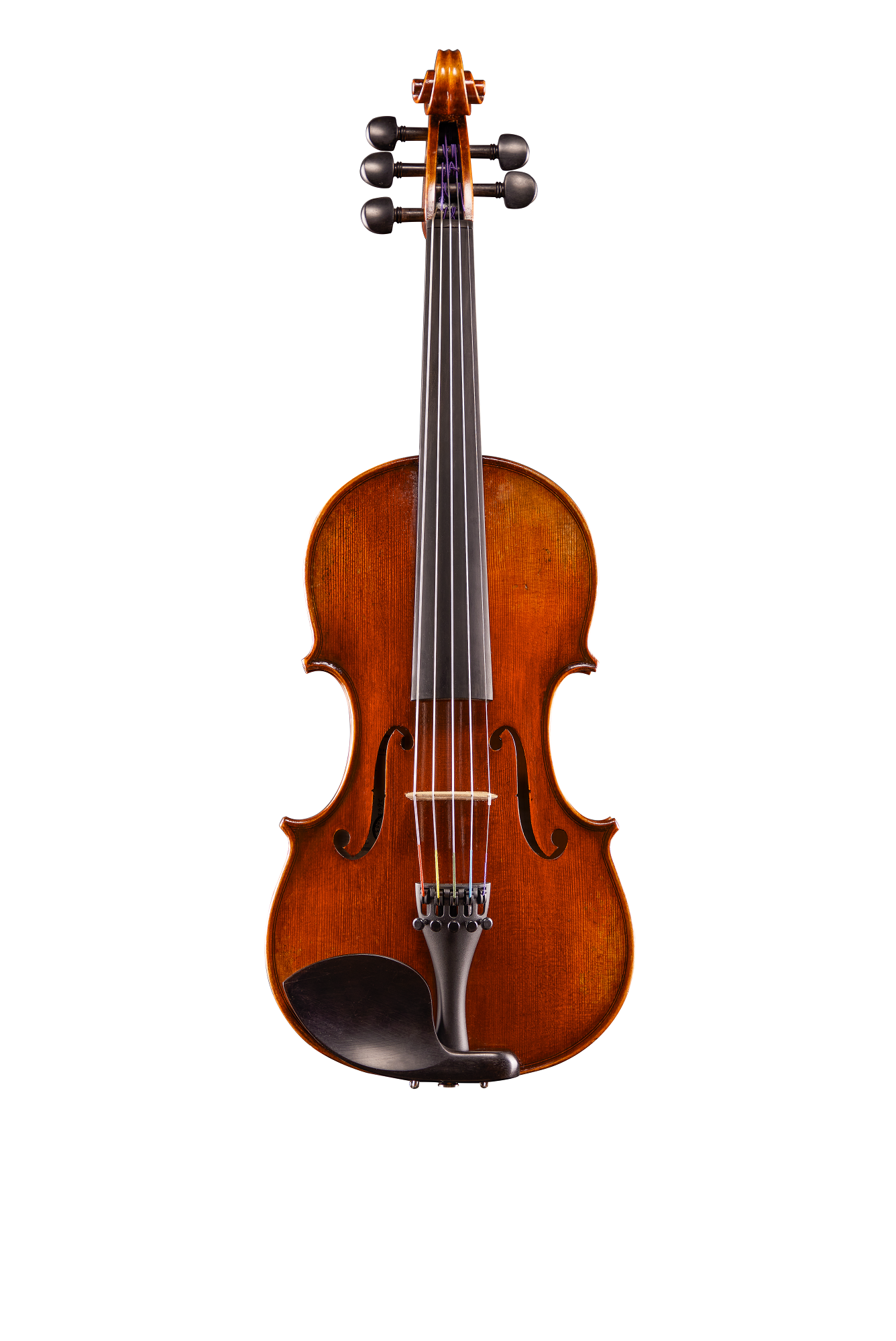 Rudoulf Doetsch 5-String VL7015 + Violin Guarneri