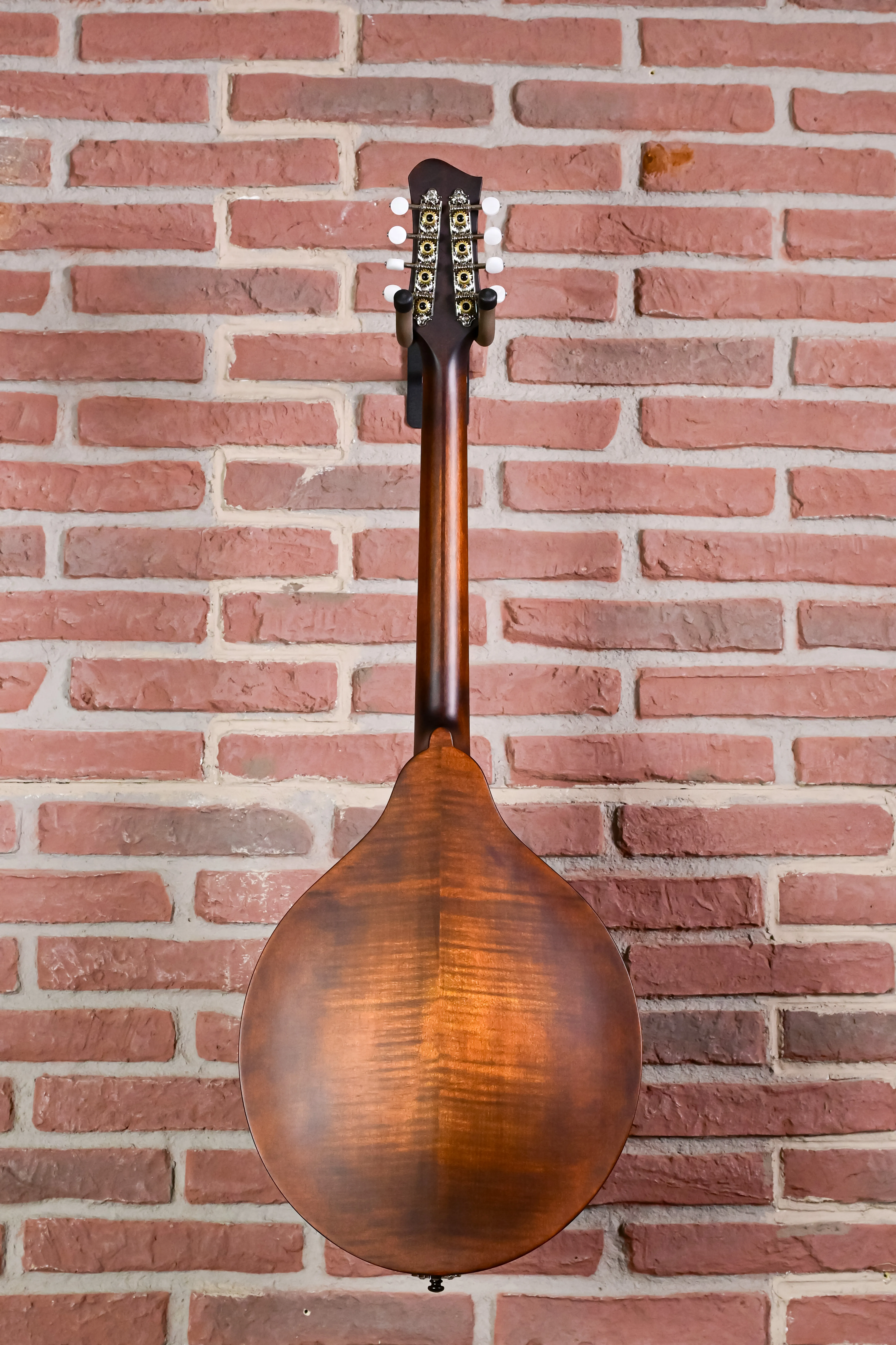 MDO305 Oktav-Mandoline A-Style