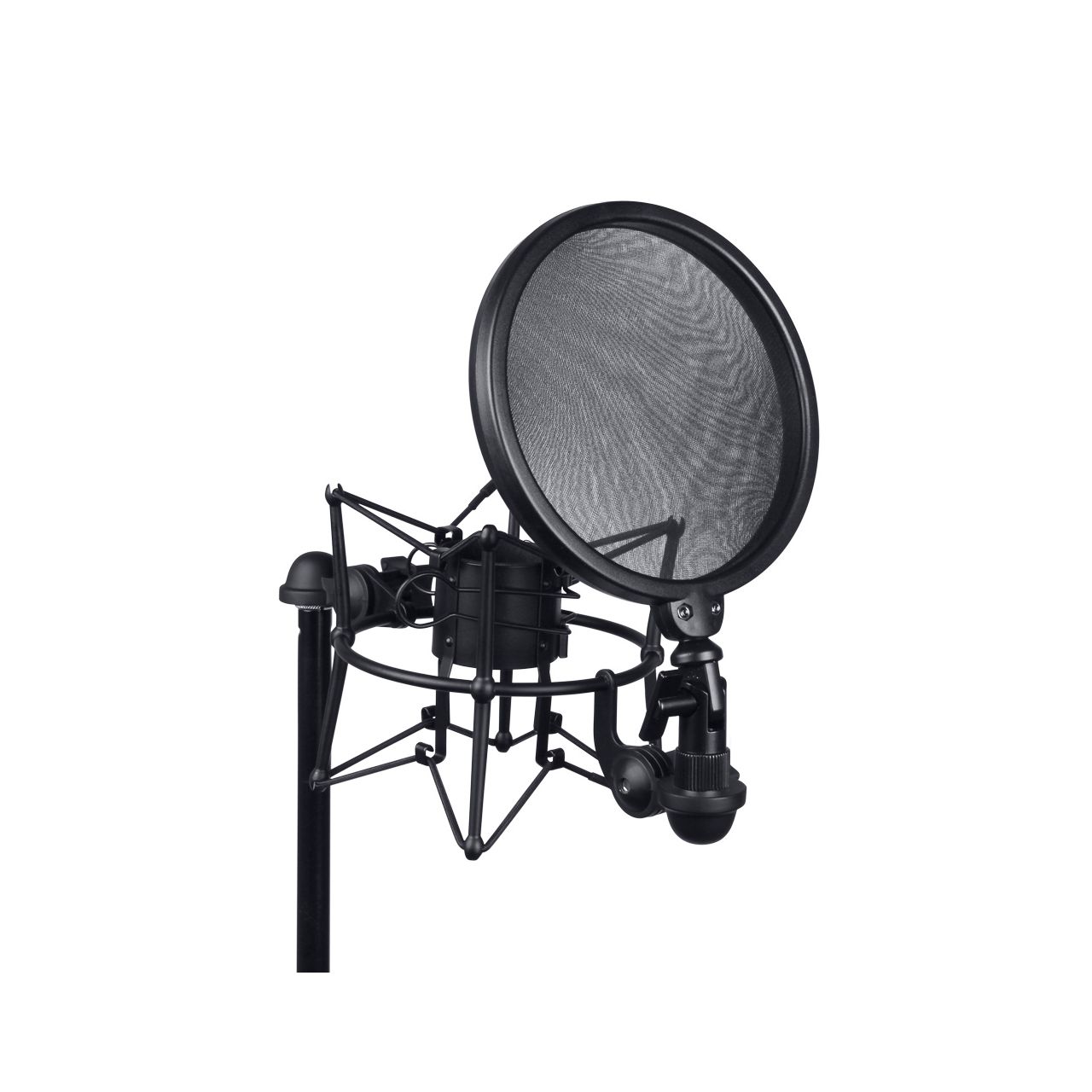 DSM 400 - Mikrofonspinne + Pop Filter